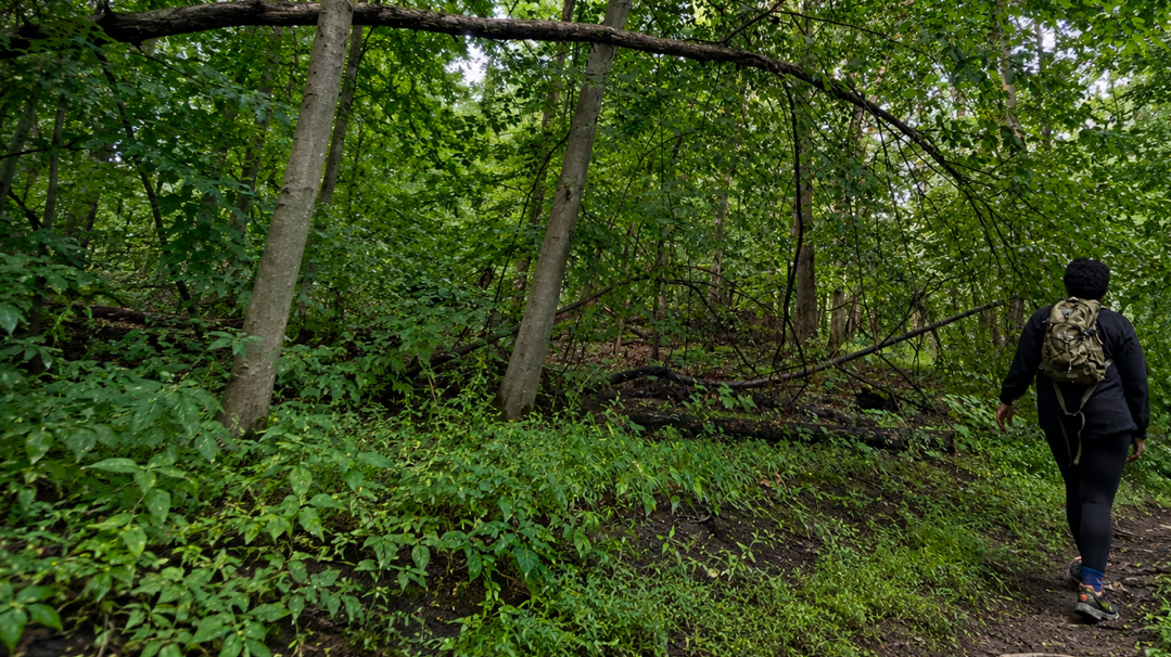 AUGUST Trail Check-In: When the Trail Changes