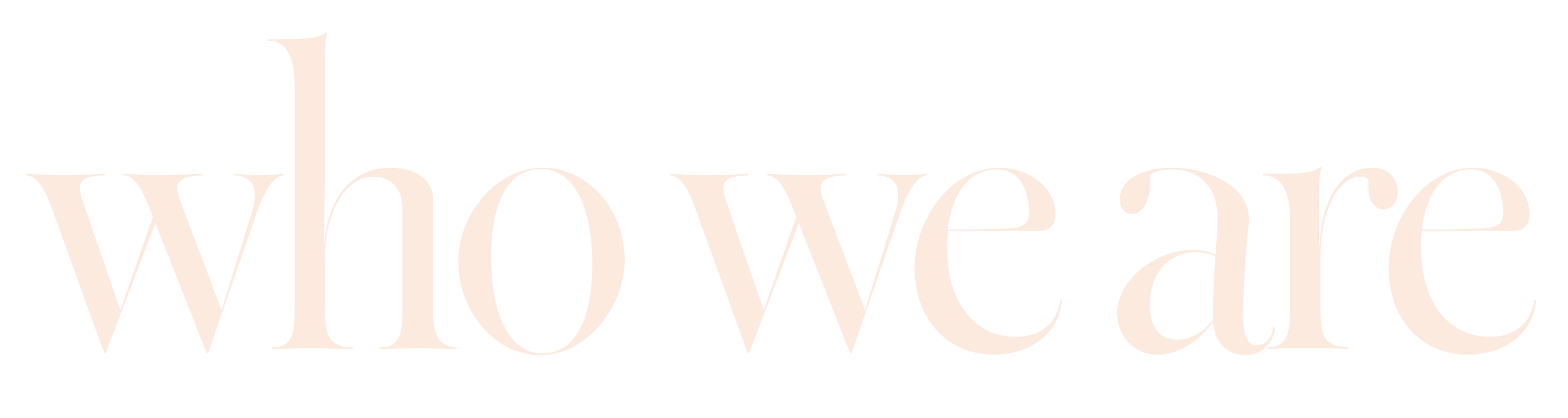 The text 'who we are' in elegant, serif font on a plain background.