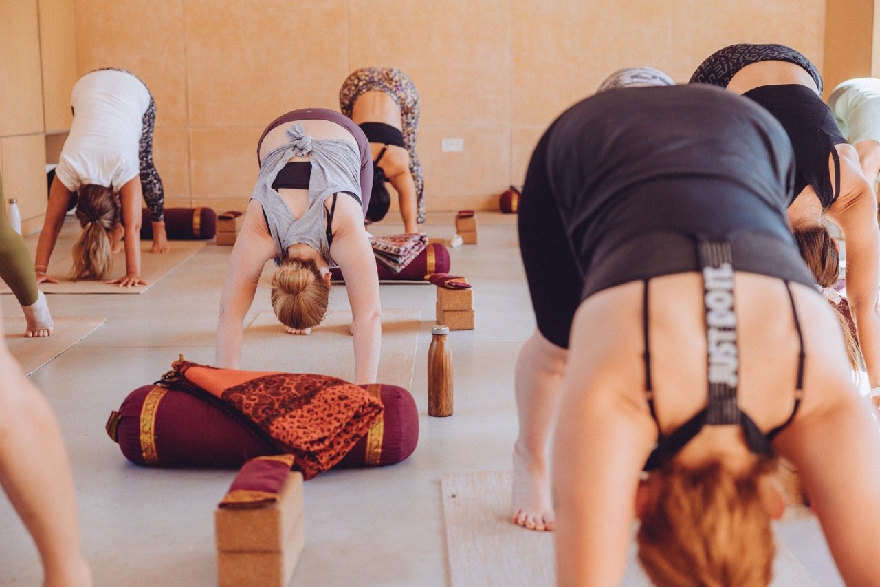 People participating in a yoga class in a studio, all in a downward dog pose with mats, blocks, and water bottles nearby.