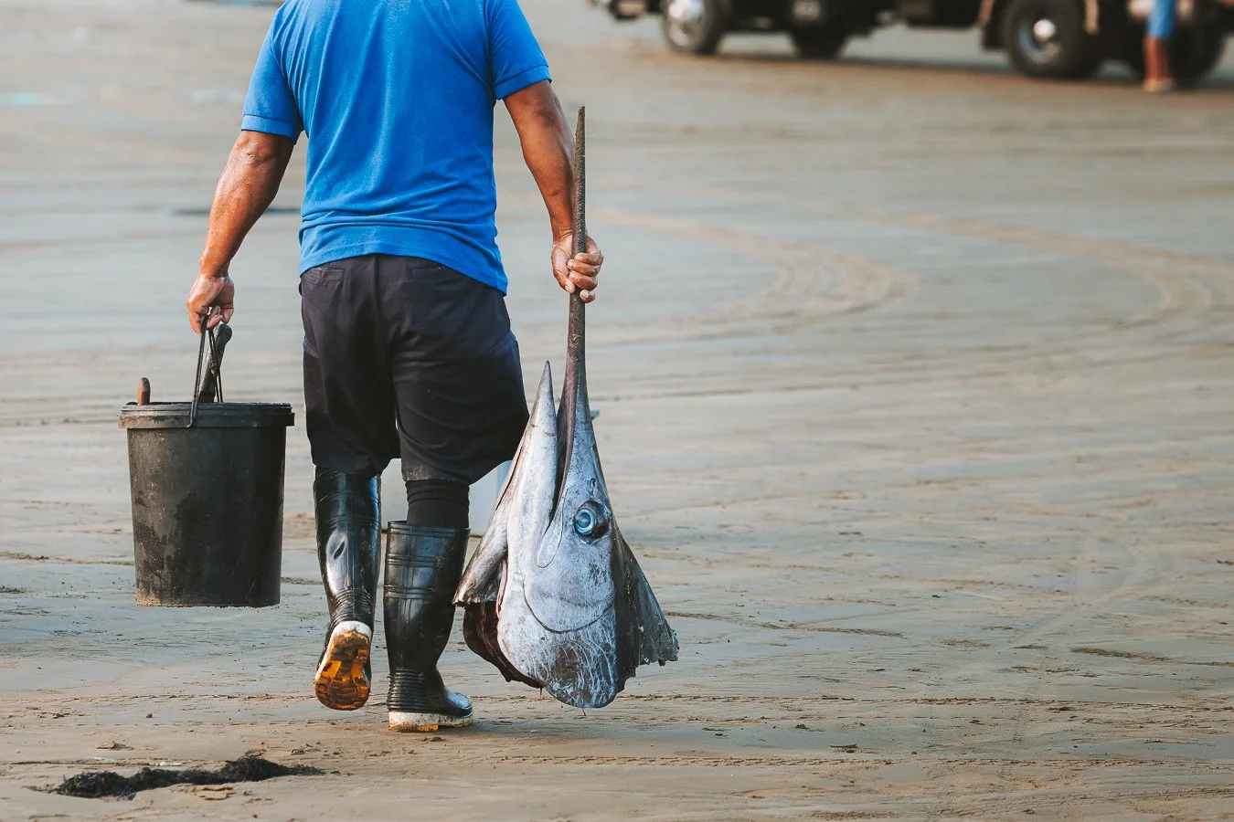 Mann in blauer T-Shirt und Gummistiefeln geht am Strand mit einem großen Fisch. Er trägt eine schwarze Kiste und hat eine Gabel in der Hand.