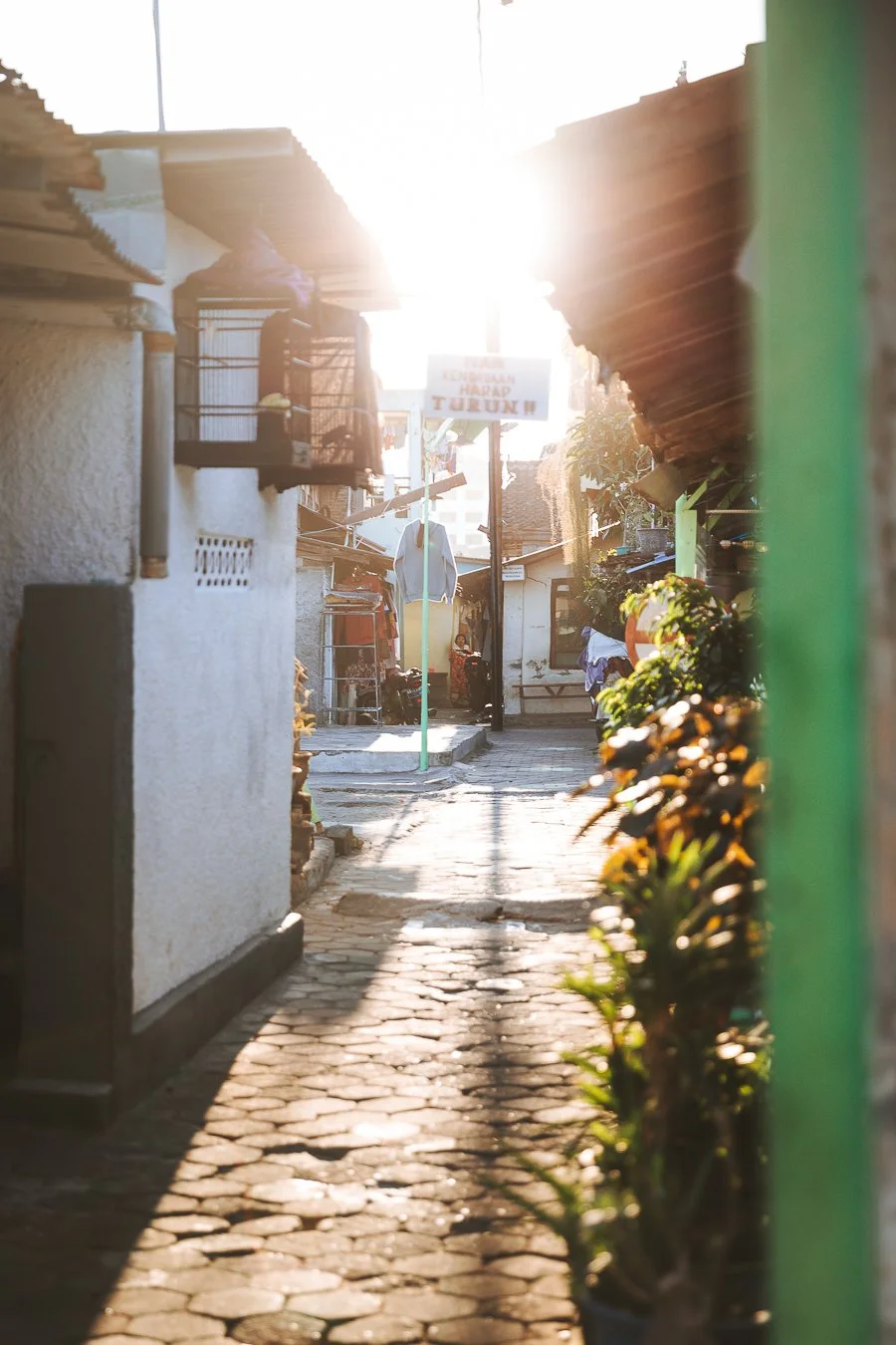 Blick in eine schmale Gasse mit gepflastertem Boden, Sonnenlicht im Hintergrund, Pflanzen in Töpfen auf der rechten Seite, kleine Häuser mit Dachüberstand und eine Vogelvoliere an der linken Wand.