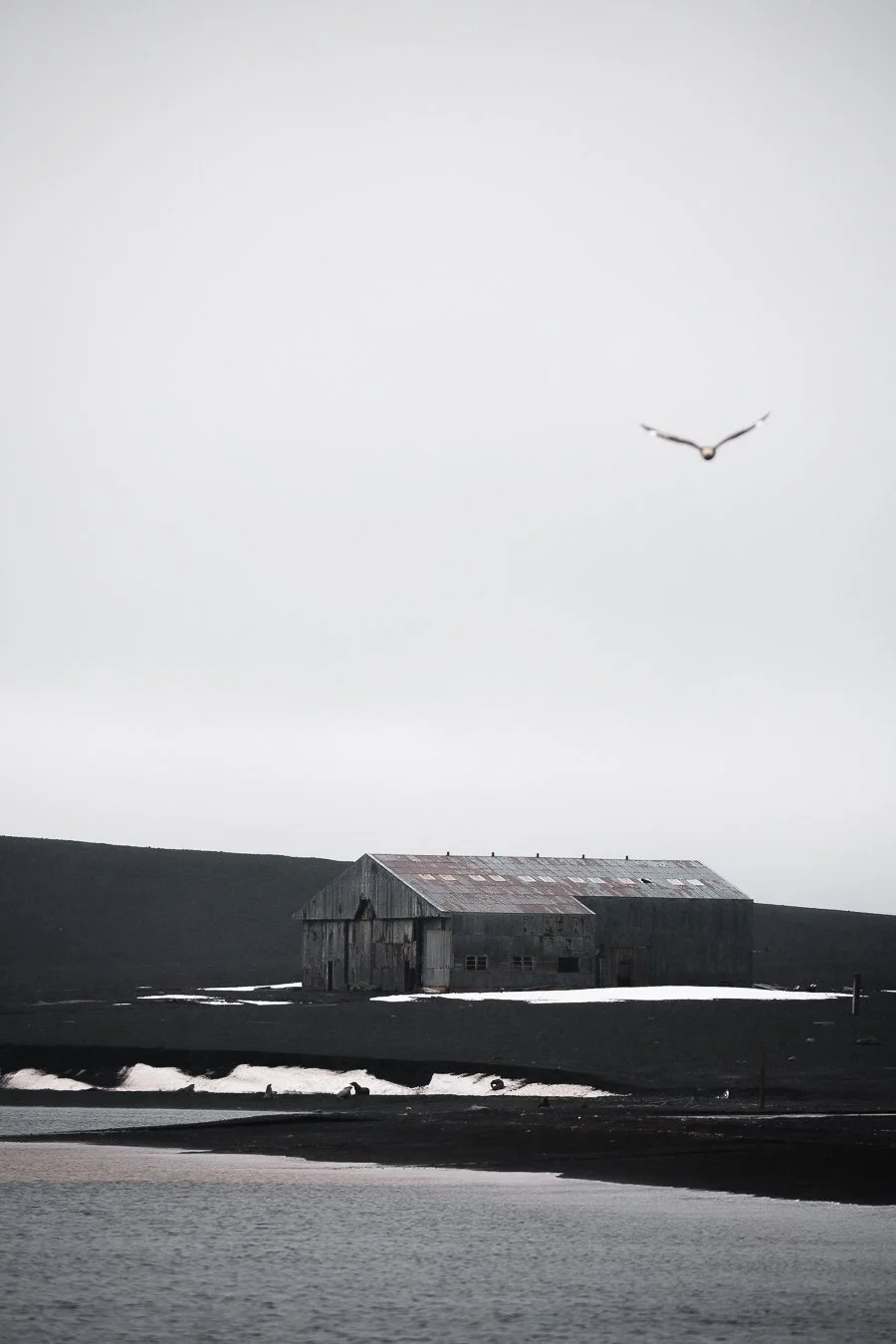 Ein einsames altes Gebäude in einer kargen, schwarzen Landschaft mit einem flachen Wasserbereich im Vordergrund und einem einsamen Vogel am Himmel.