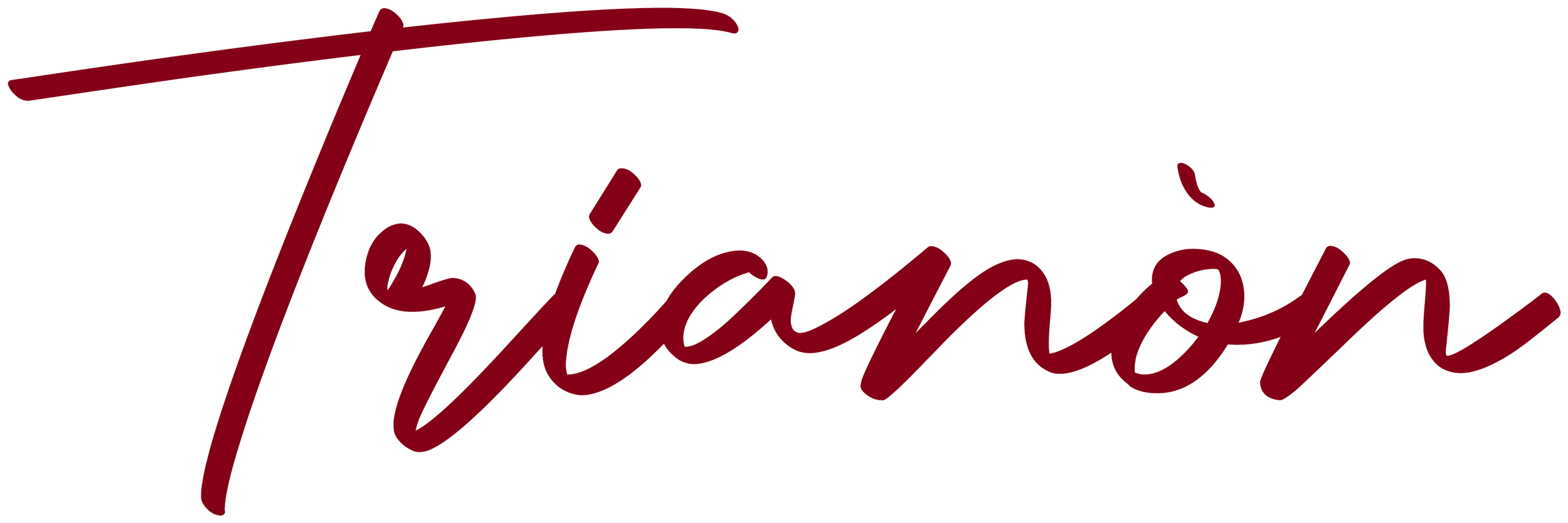 Il logo di Thrashon scritto in stile corsivo, colore rosso scuro.