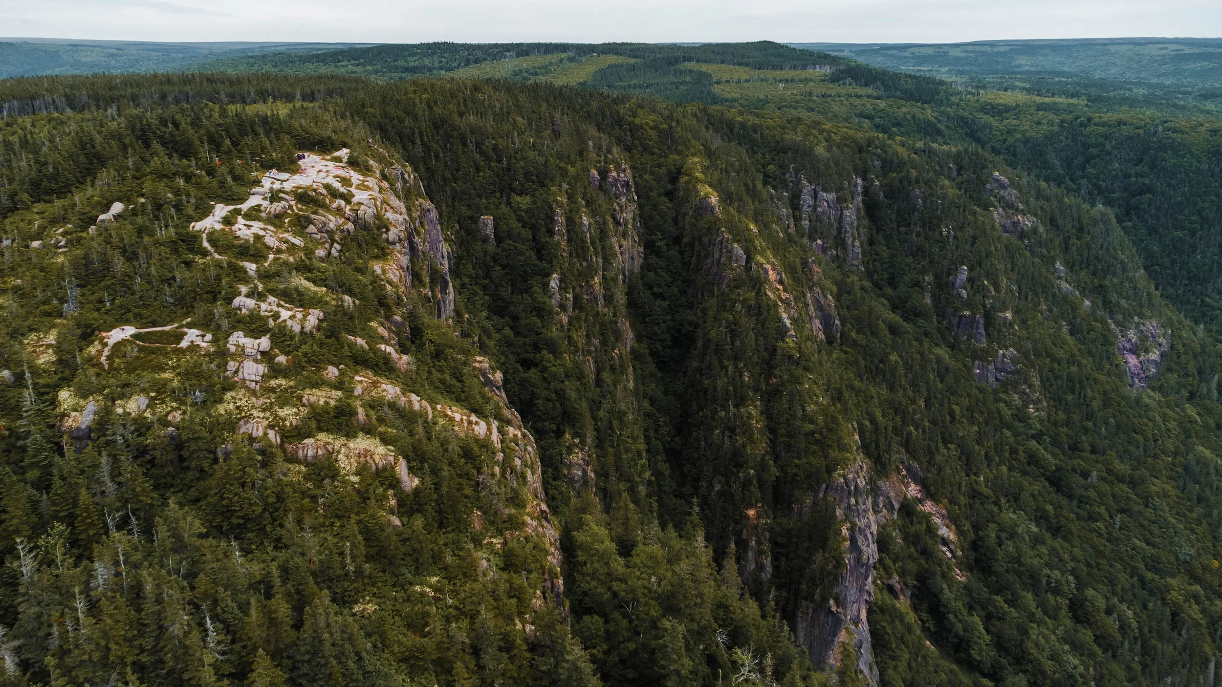 An aerial view of forested mountains with steep rocky cliffs covered in dense green trees.