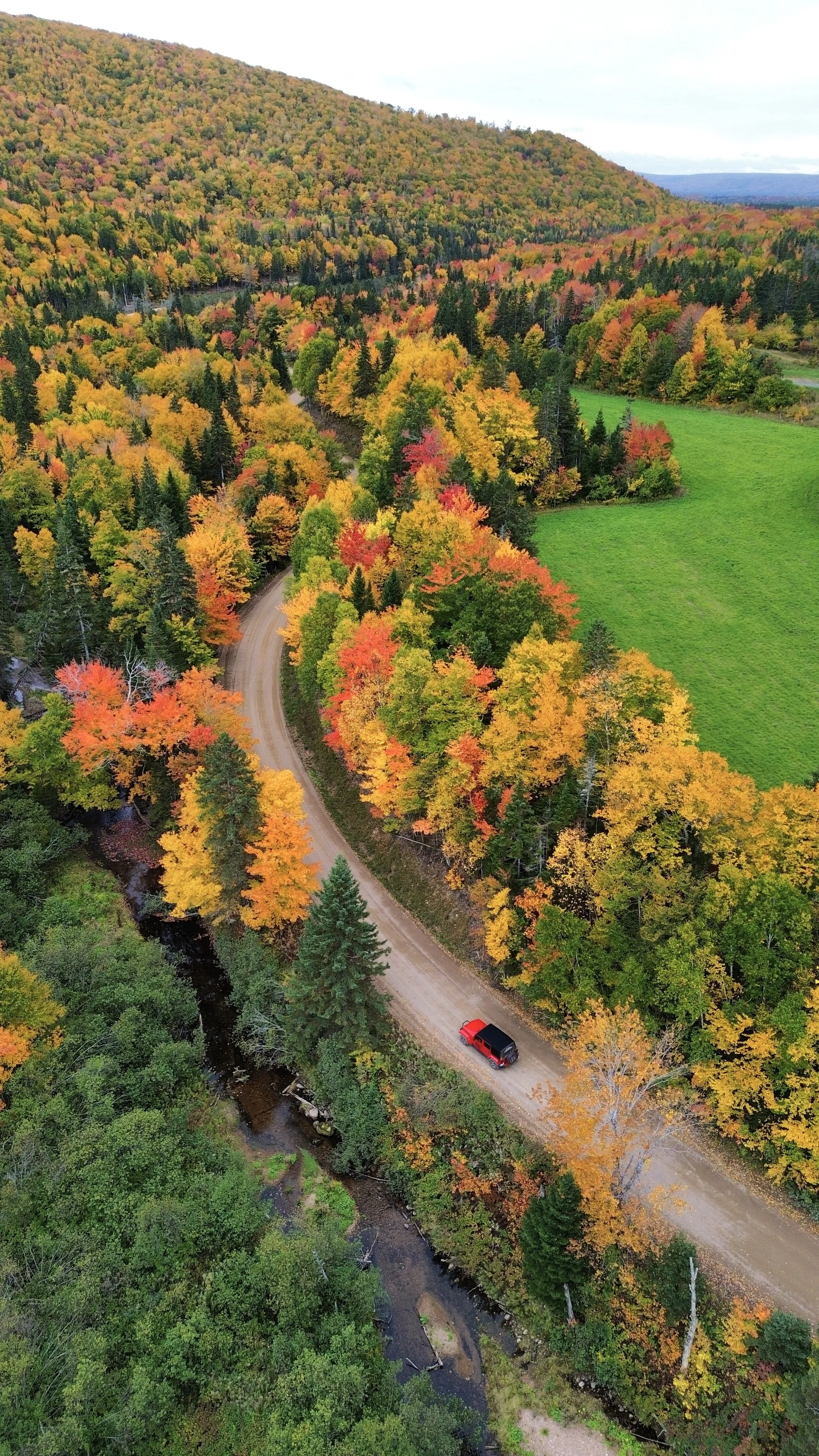 A winding dirt road through a forest of colorful fall foliage with a red Jeep with a 'Cape Breton Back Country Adventures' logo.