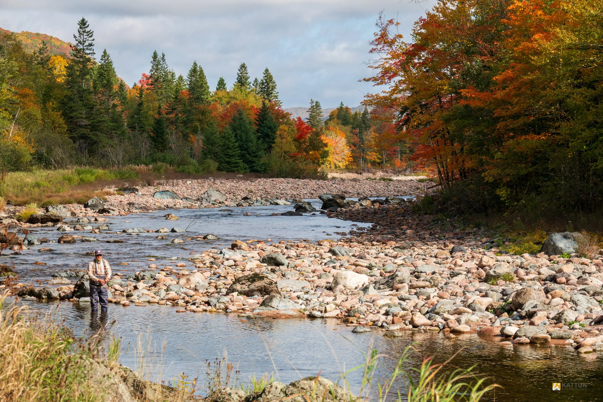 A fisherman wading in a rocky river surrounded by trees with vibrant fall foliage.