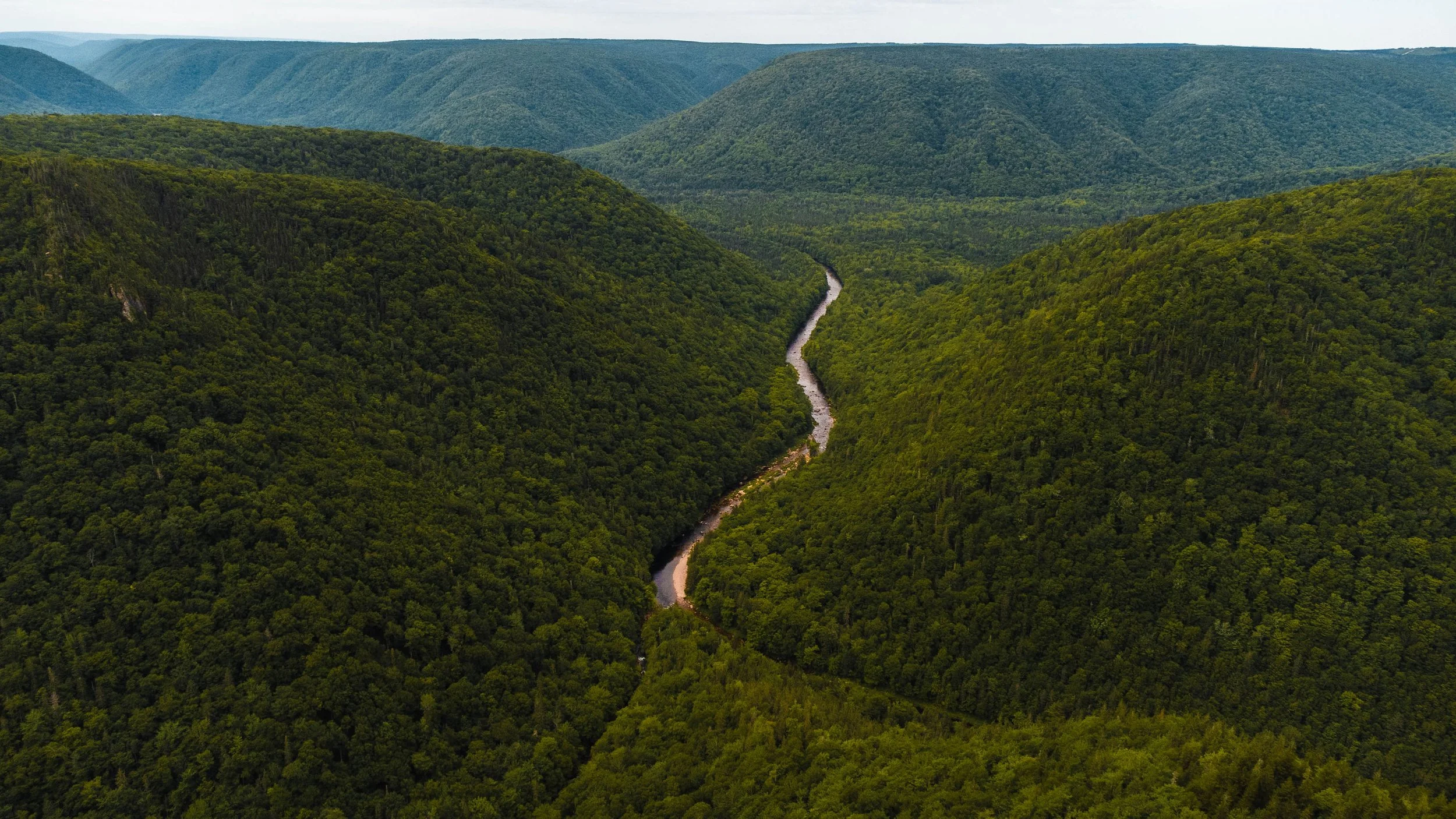 Aerial view of a winding river cutting through lush green forested mountains.