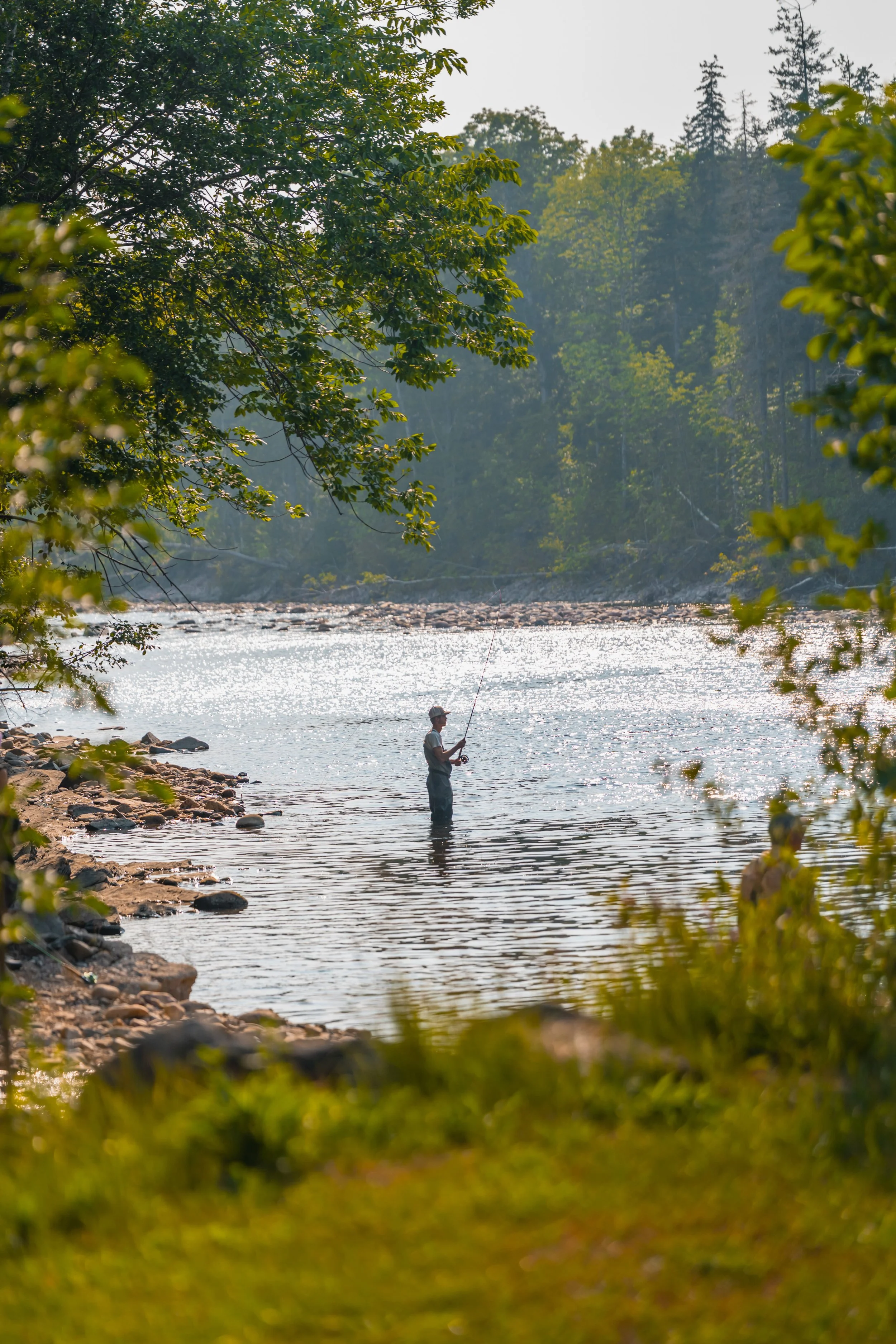 A man fishing in a river surrounded by trees and natural scenery.