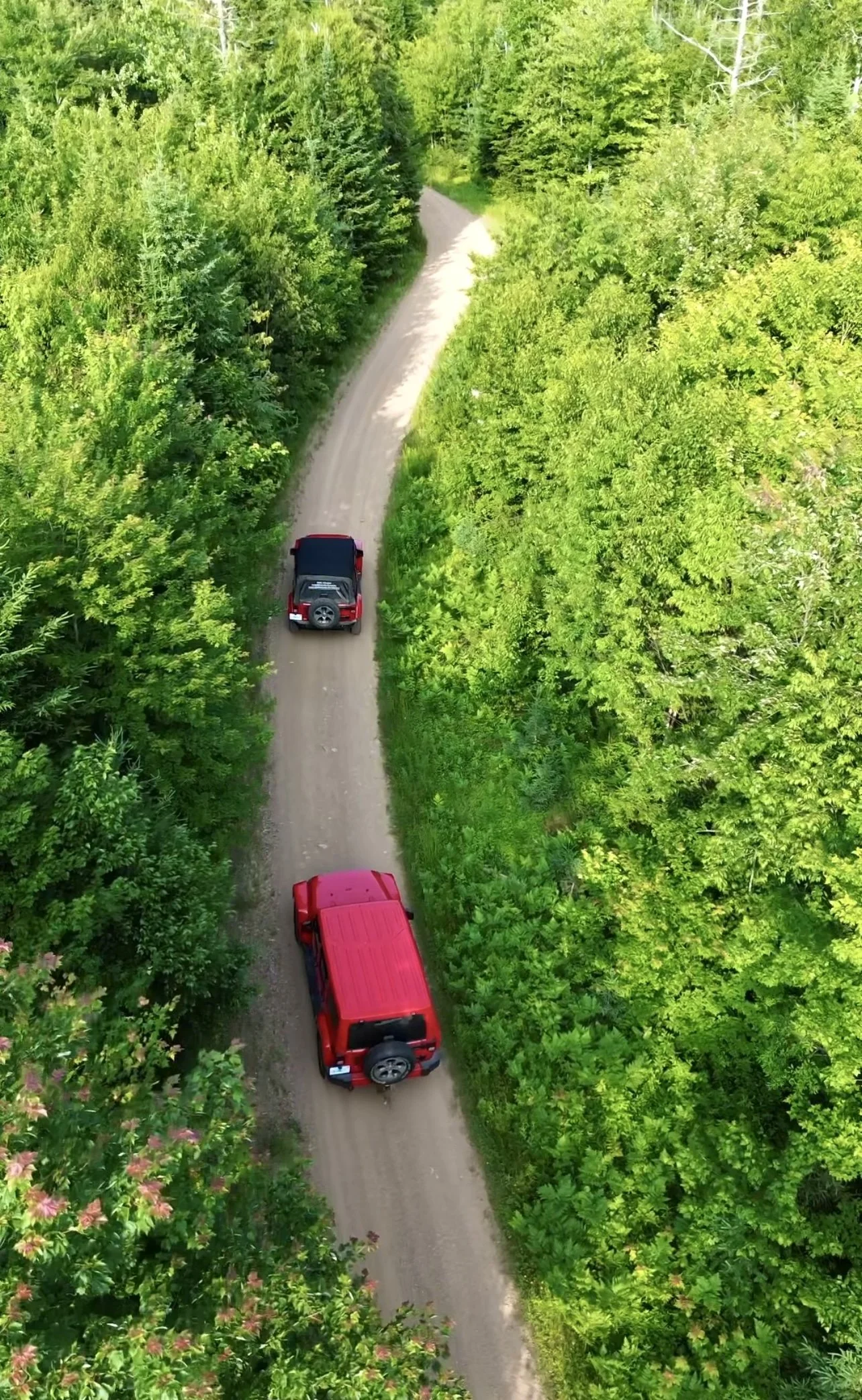 An aerial view of a narrow dirt road winding through dense green forest, with two red vehicles driving along the path.