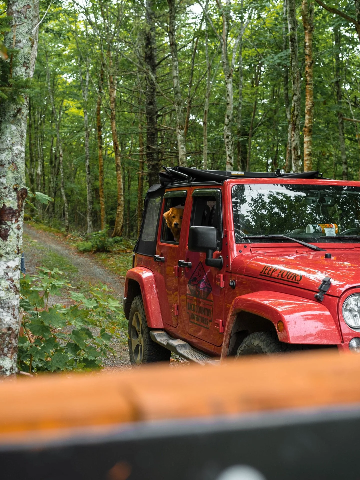 You&rsquo;ve got a friend in our guides and your pup&rsquo;s got a seat in our Jeep!🐶🚘

At Cape Breton Backcountry Adventures, we know how tough it can be to find dog friendly experiences, and we never want you to leave your best friend behind. We 