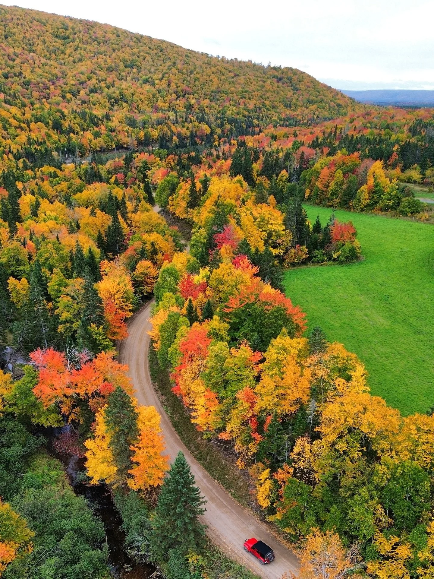We LOVE when Cape Breton shows it&rsquo;s TRUE colours! 

Let us focus on the driving while you focus on the leaves driving through TUNNELS OF COLOUR on your Cape Breton Backcountry Adventure! ⛰️🚗🍁

Taken October 8th 2025 in Inverness County!