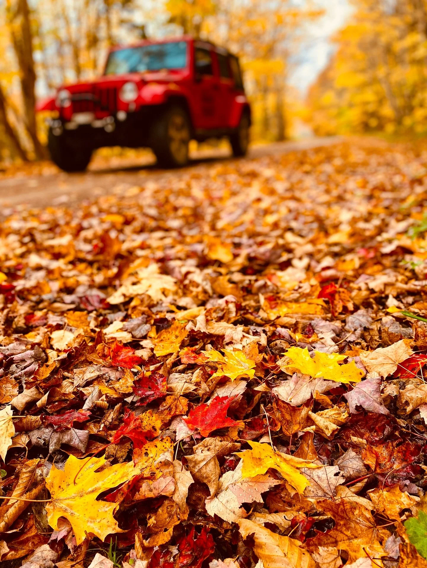 This fall, come discover Cape Breton&rsquo;s TRUE colors, HIDDEN gems, and BREATHTAKING views, where HISTORY and LOCAL STORIES bring this island to LIFE! 🍂

📸 # 1, 4, 5, 6: @macgraham74 
📸 # 2, 3: @adamhillphoto