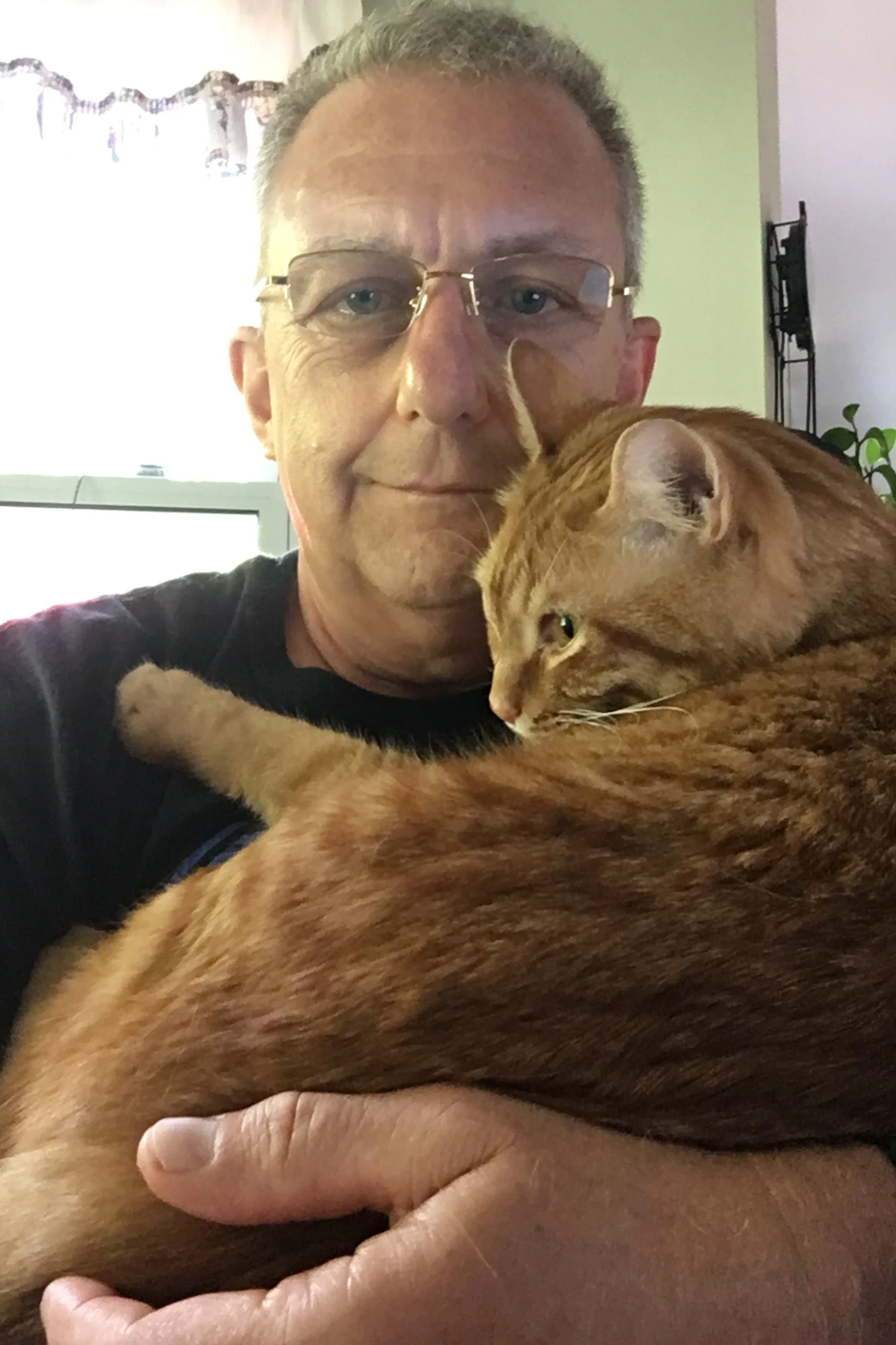 A man holding a ginger cat close to his face indoors. The man wears glasses and a dark shirt, and the background shows a window with curtains and a green wall.
