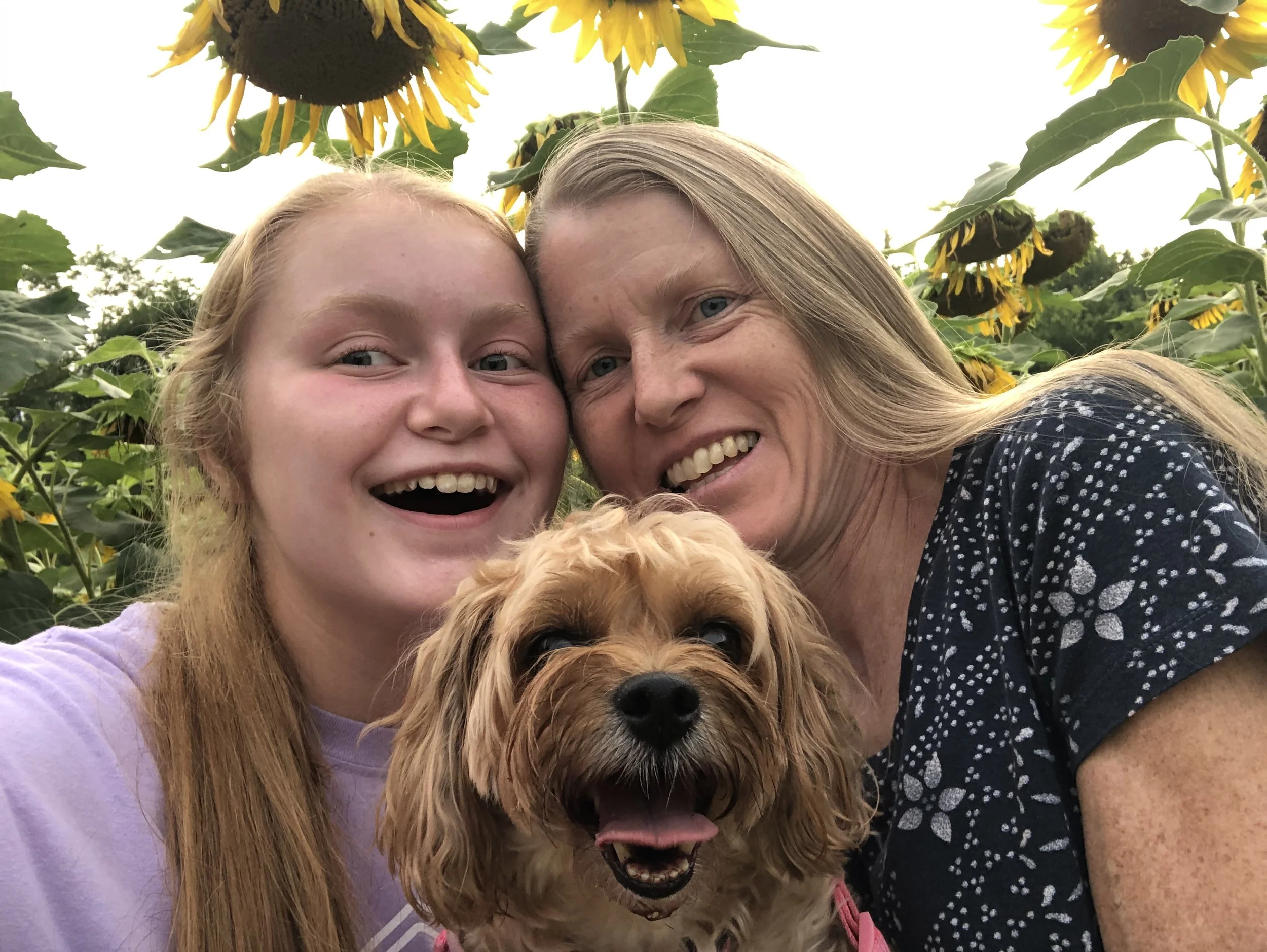 A smiling young girl, a middle-aged woman, and a fluffy dog with a sunflower garden in the background.