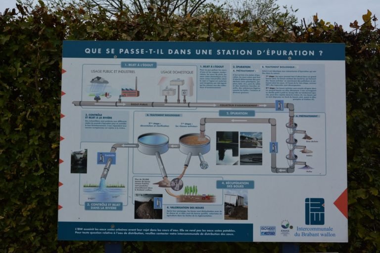 DAN_9740-768x512.jpg