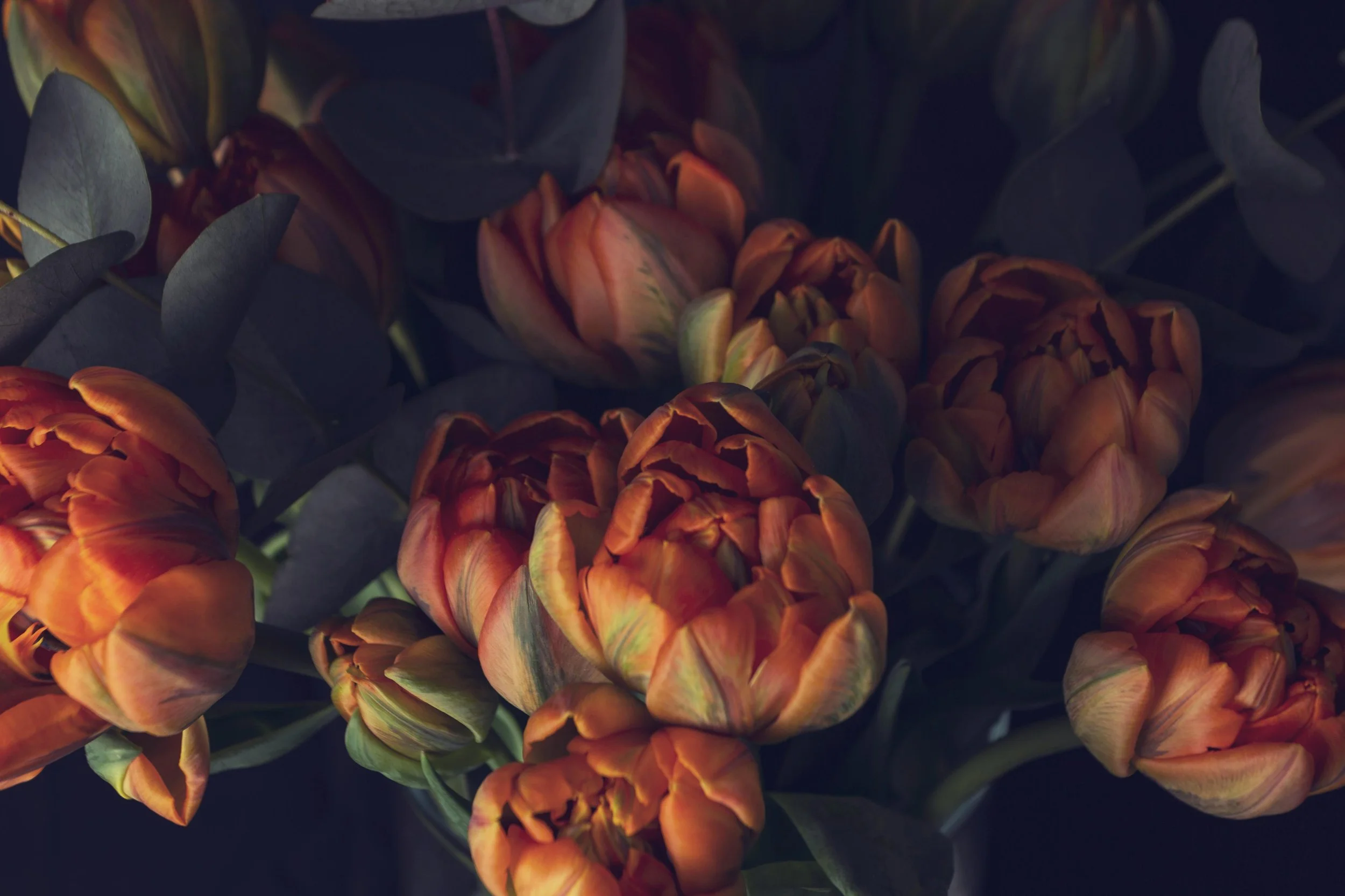 Close-up of a bouquet of orange and pink tulips with green leaves.