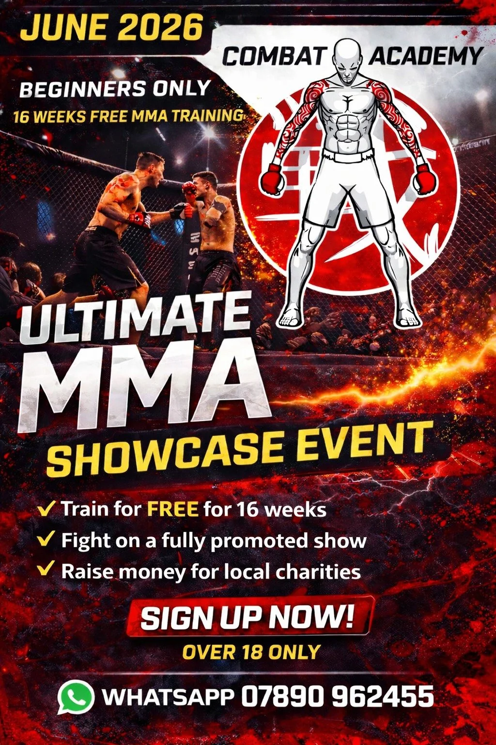 Ultimate MMA Showcase