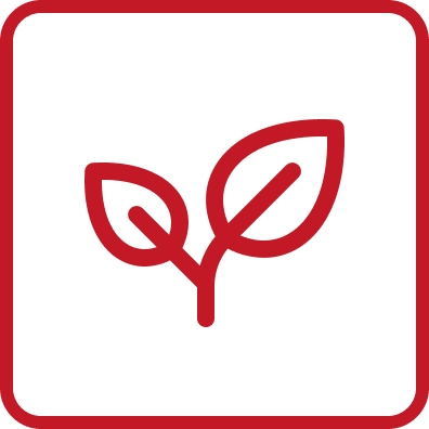 A black square symbol with a red border and a red leaf icon in the center.