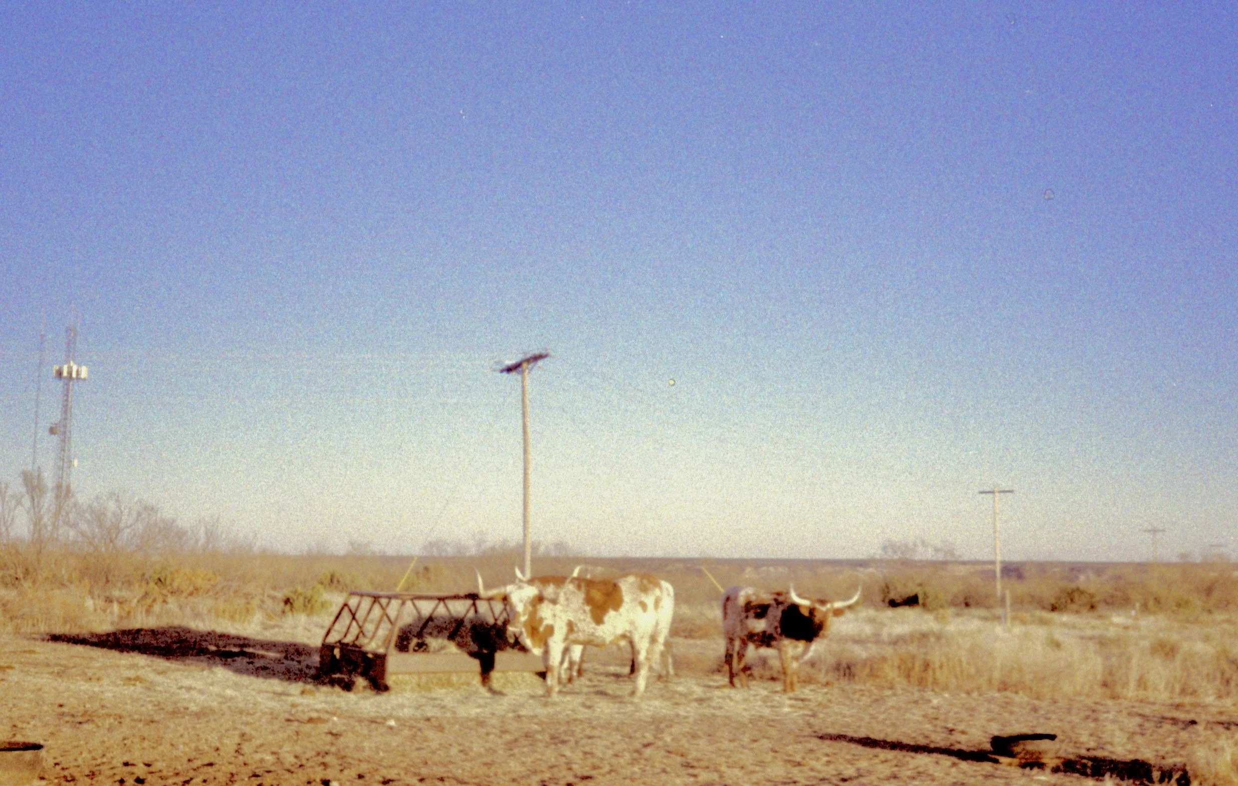 scan0025 3.jpg