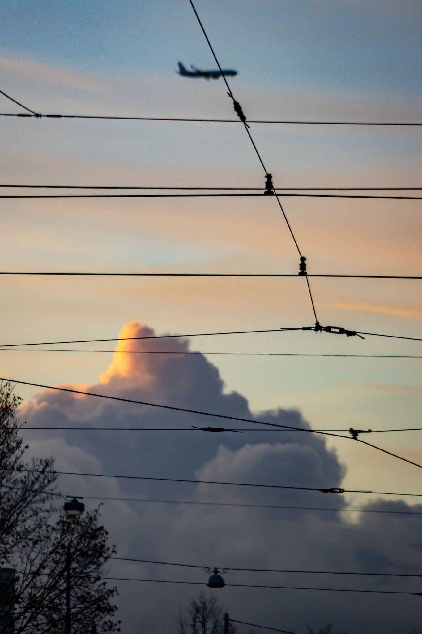 An airplane flying in the sky above utility wires and trees during sunset or sunrise with clouds in the background.
