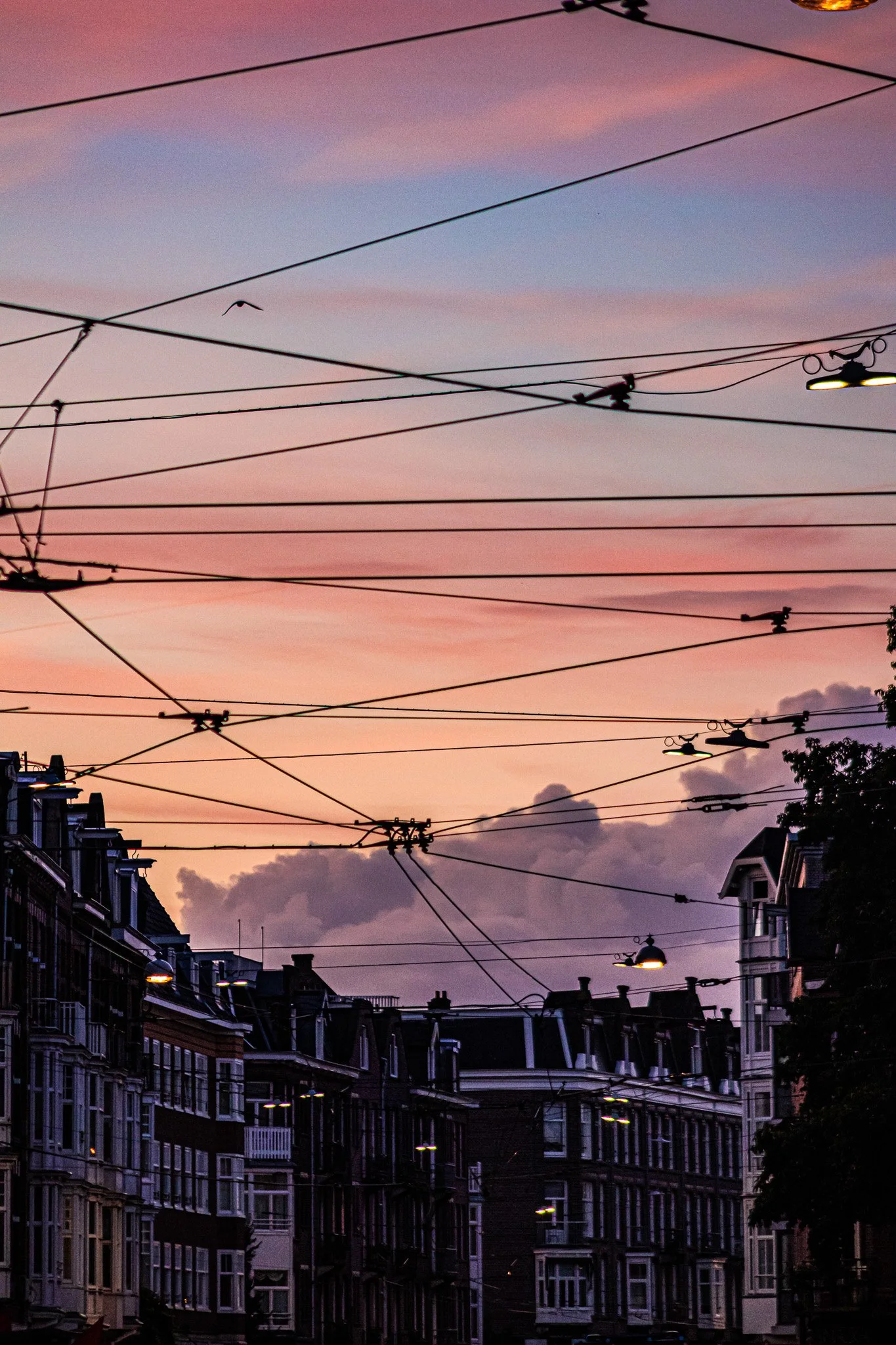 Urban street scene at sunset with overhead trolley wires, apartment buildings, and a purple and pink sky.