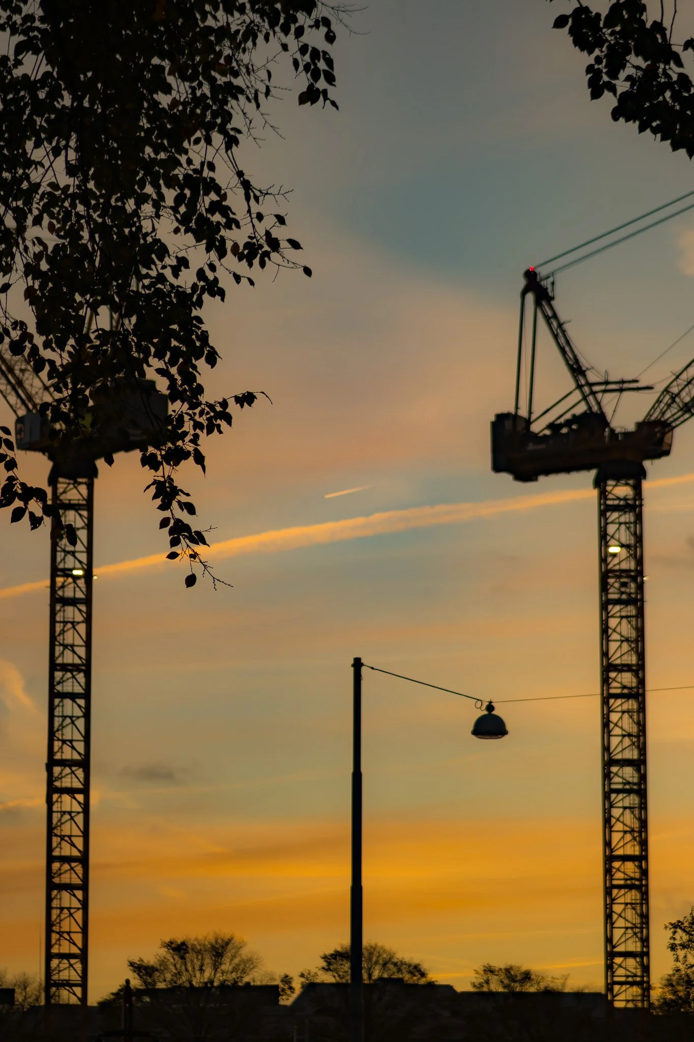 Silhouette of construction cranes and a street lamp against a colorful sunset sky with tree branches in the foreground.