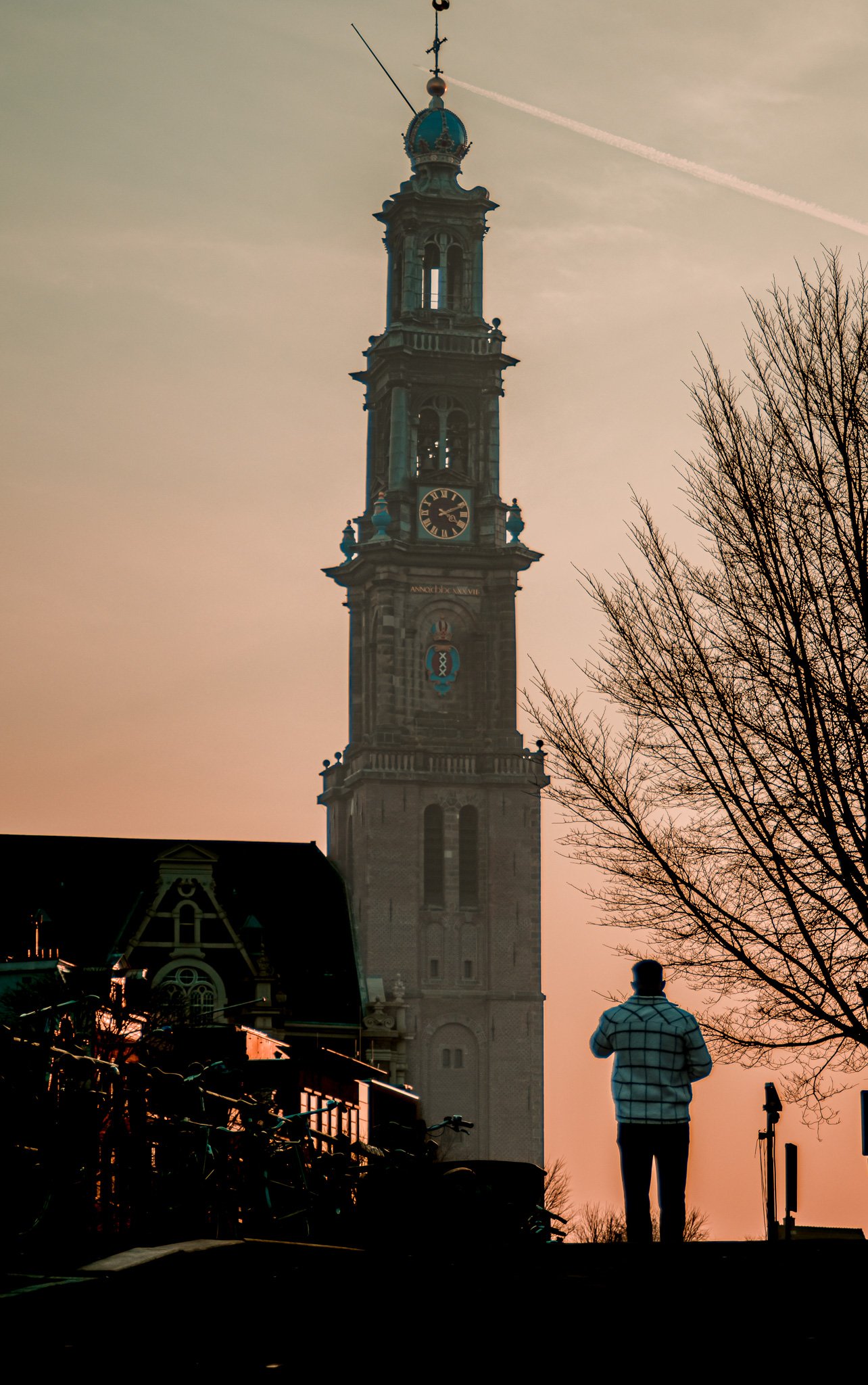 A person stands facing a tall clock tower during sunset with a tree on the right and bicycles in the foreground.