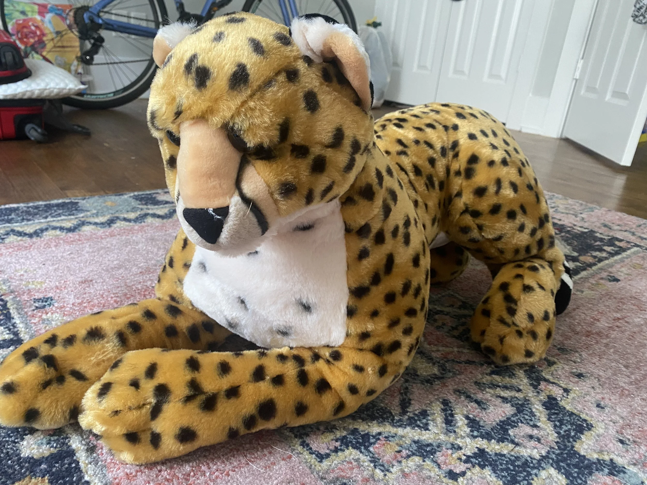 

Base of Skinned Sheep