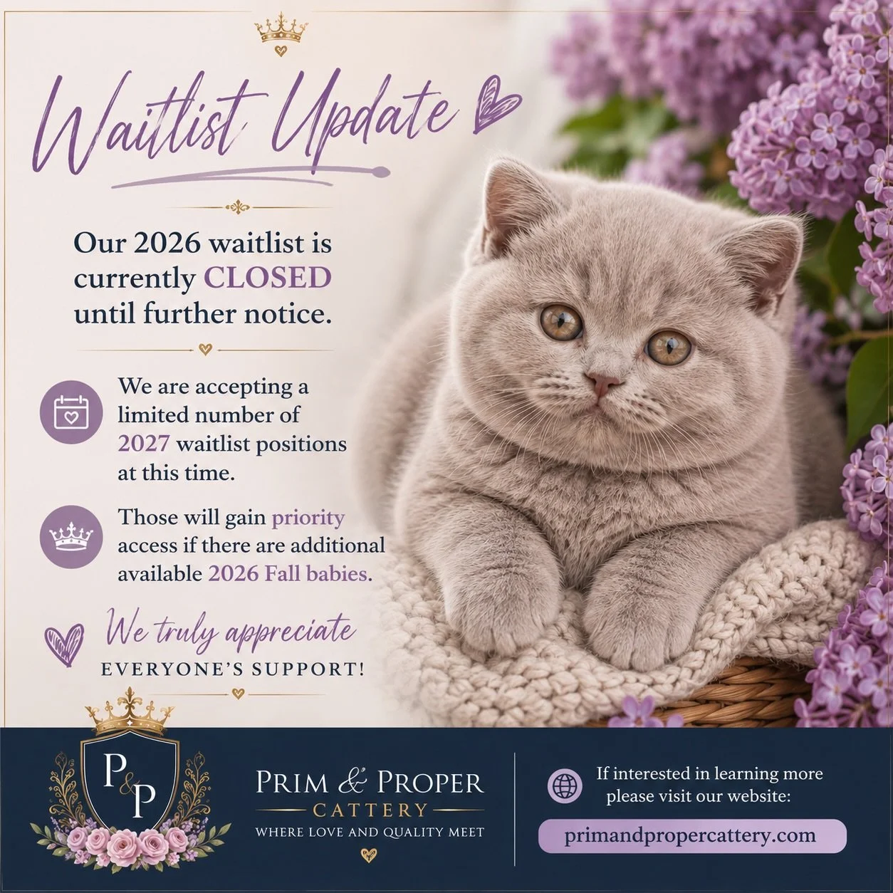 📣 Waitlist Update 📣

Our 2026 waitlist is currently closed until further notice.

We are accepting a limited number of 2027 waitlist positions at this time. Families on the 2027 waitlist will receive priority consideration if additional kittens bec