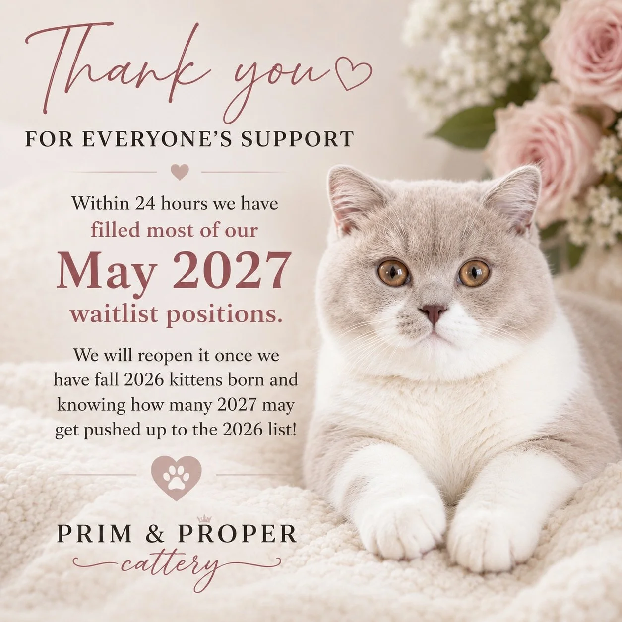 Thank you all so much for your incredible support! ❤️

Within just 24 hours, we have filled most of our May 2027 waitlist positions. We are truly grateful for the trust and enthusiasm families continue to show our little cattery.

At this time, we wi