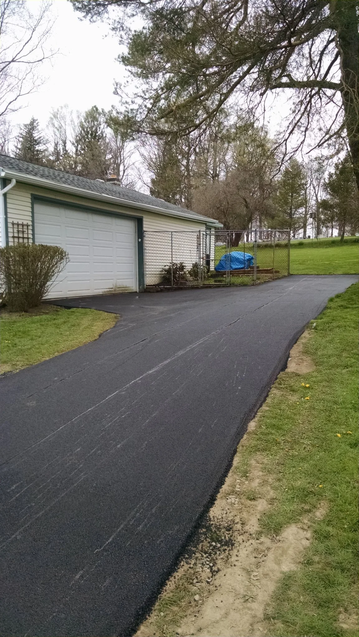 Freshly paved asphalt driveway leading to a garage with a white roll-up door, brown bushes on the sides, a chain-link fence in the background, and a grassy yard with trees.