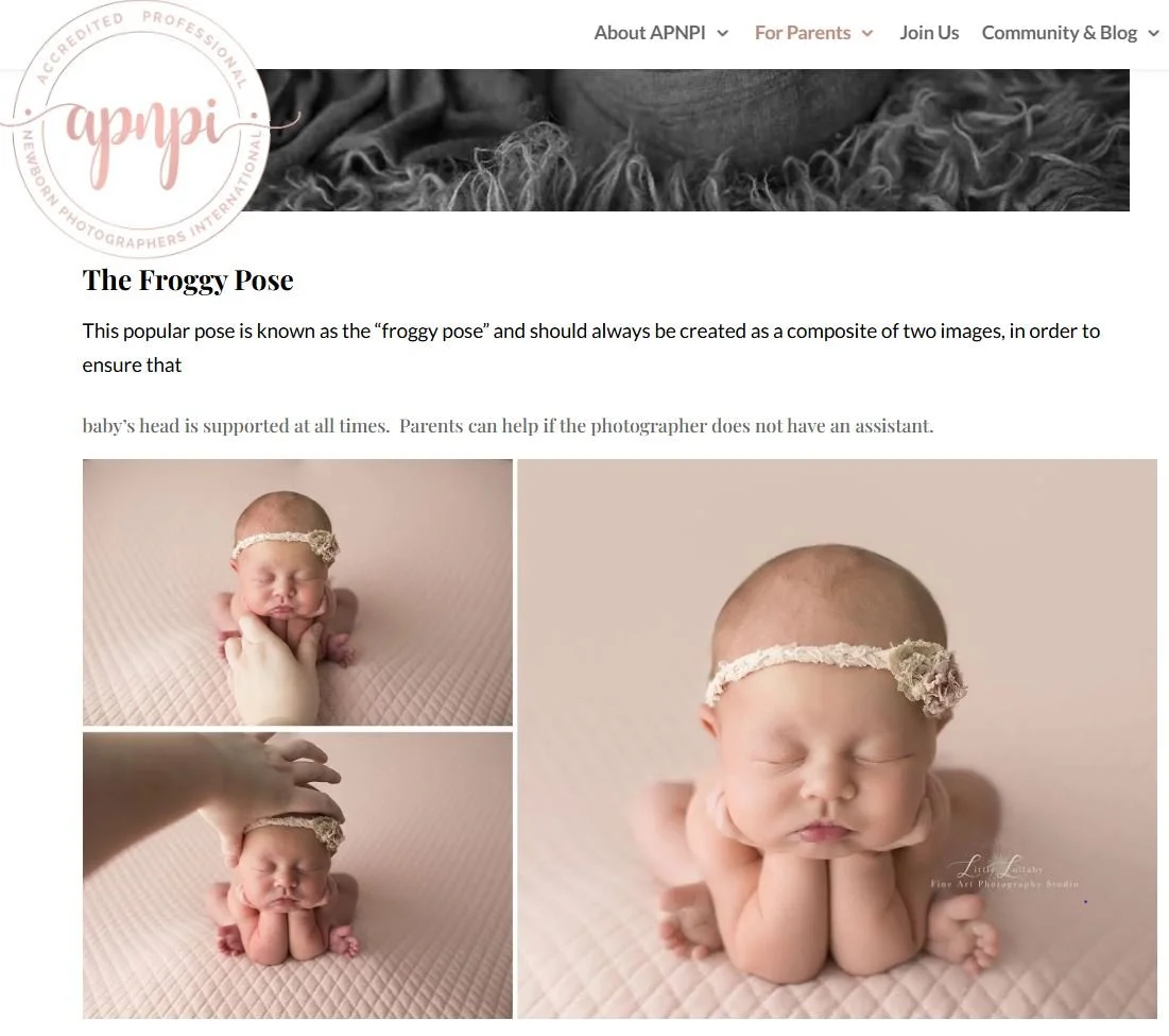 Example of safe newborn posing for studio newborn photo session, from APNPI