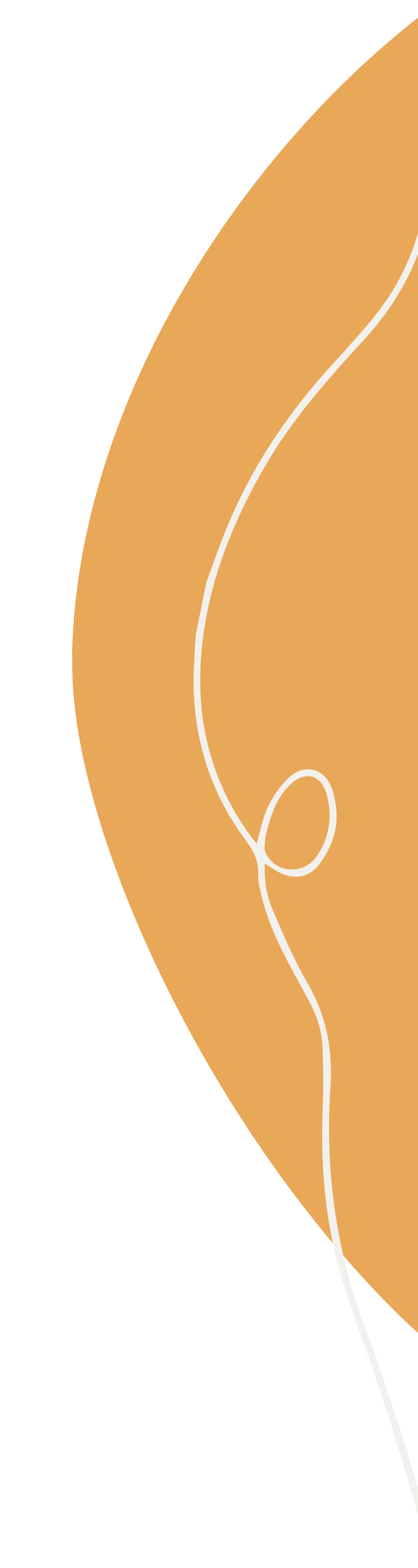 An orange shape with a white line doodled inside it.