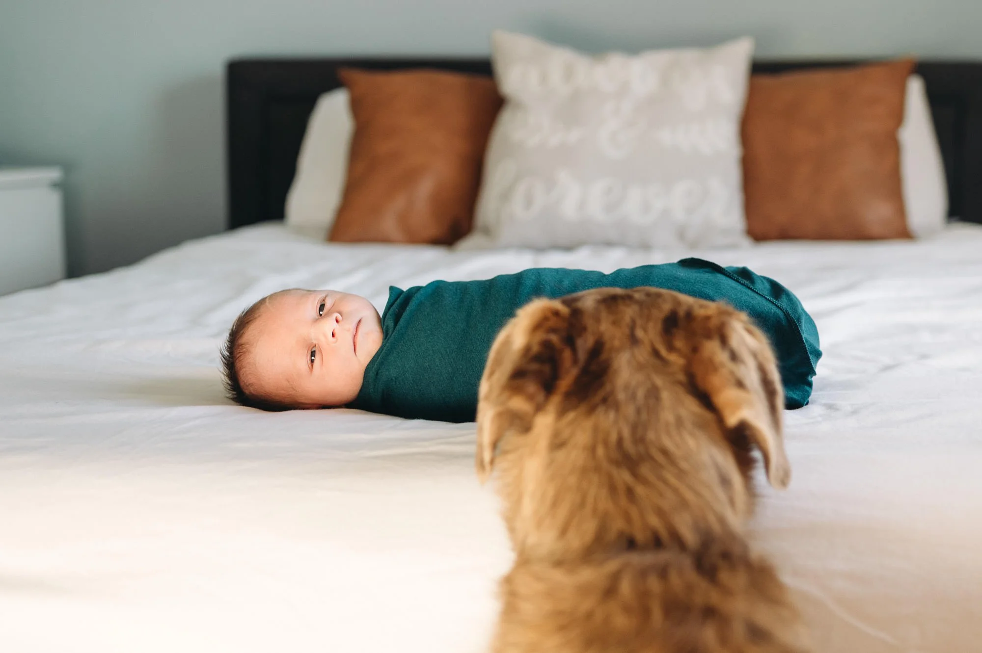 teal-swaddle-lifestyle-newborn-bend-oregon.jpg