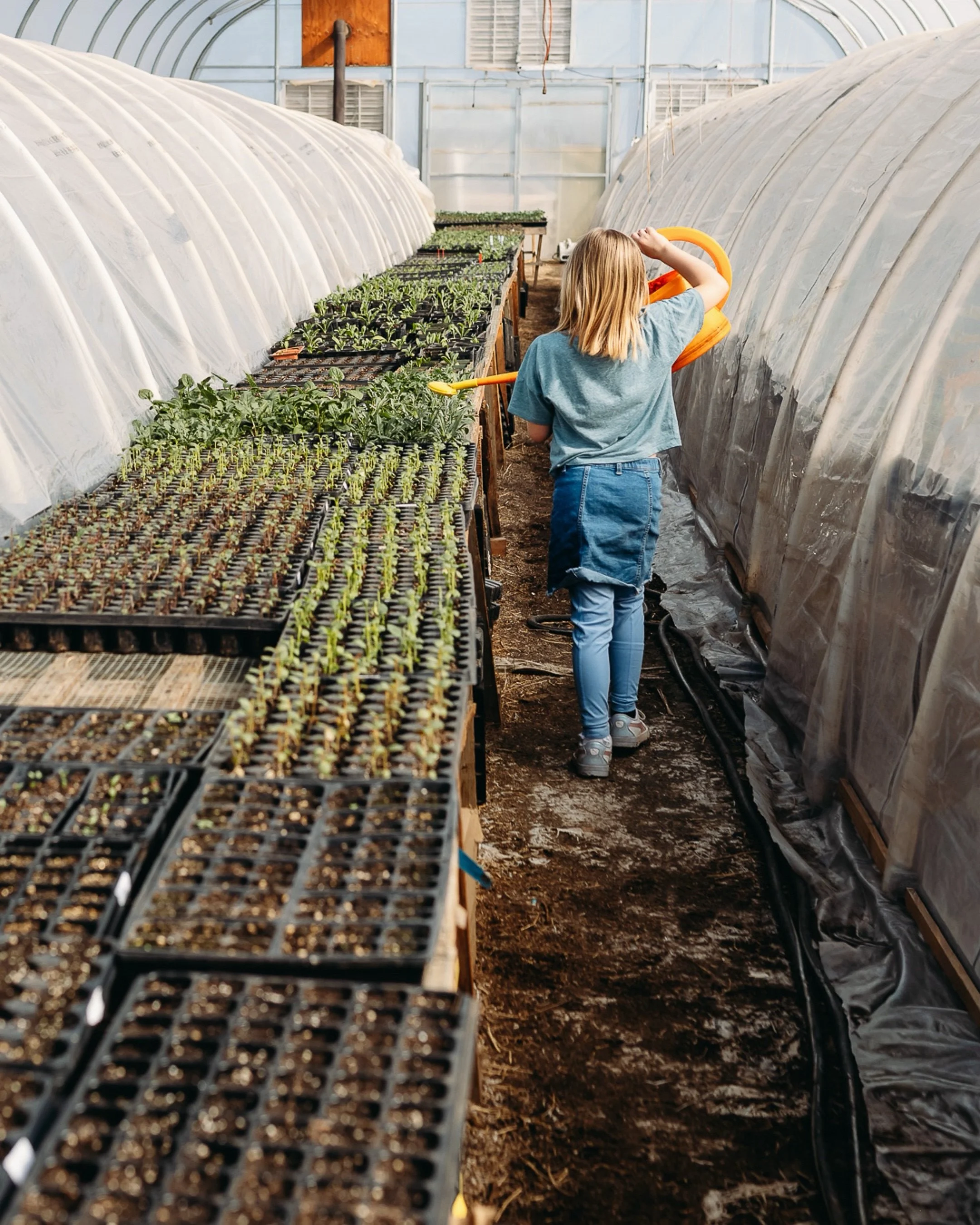 Well Rooted Produce &amp; U-Pick in Bend is a gem in the Central Oregon Community.⁠
⁠
Their annual story starts here in the greenhouse - planting tiny seeds in late winter &amp; nurturing the seedlings until they can be moved out to the fields in the