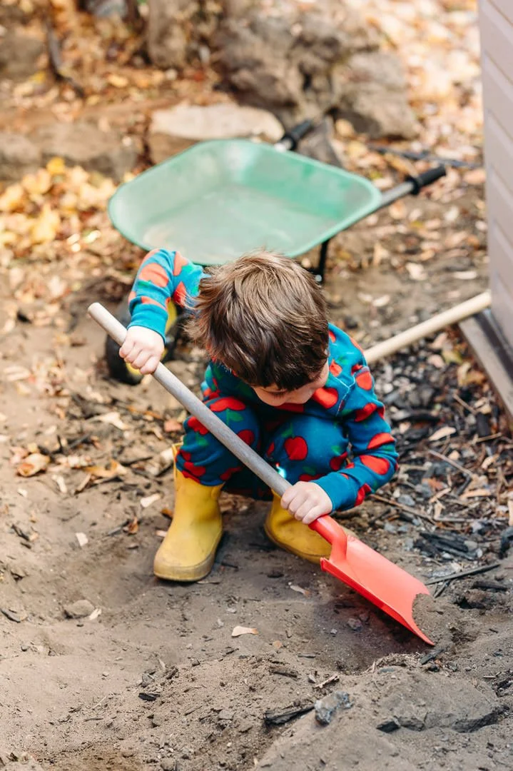 Are Fall Family Pictures Right for You? Questions Before You Book