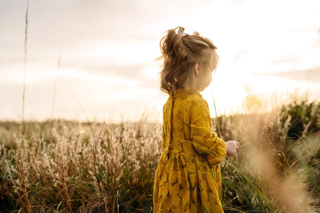 Toddler girl in golden field during outdoor fall family pictures