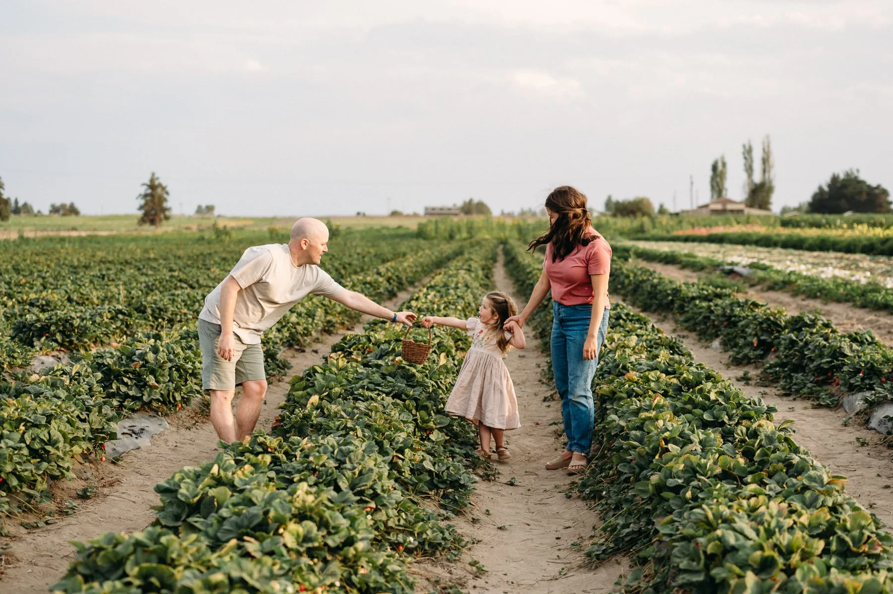 Family picking strawberries at Central Oregon farm, by Elise Souders, Bend Family Photographer