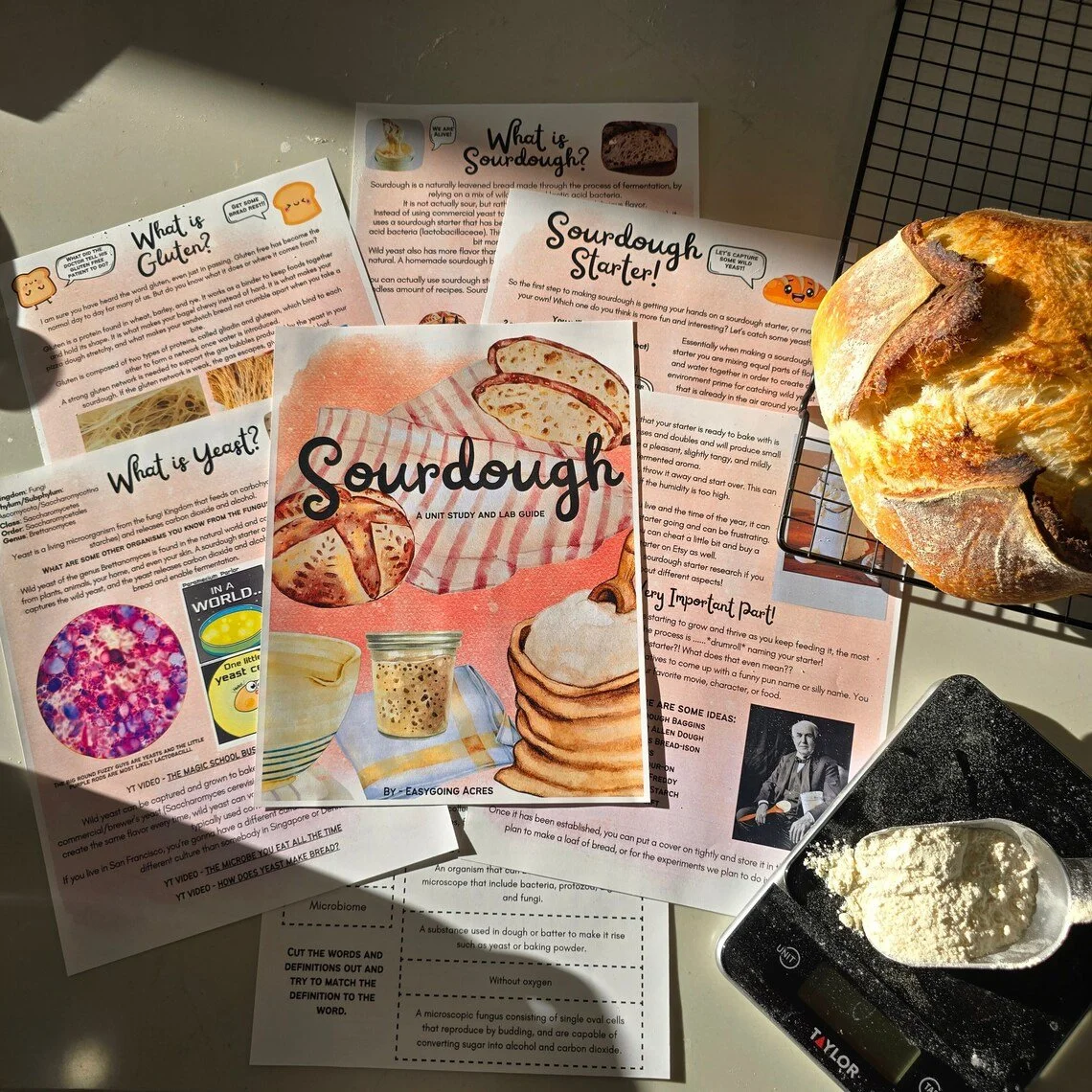 Everything Sourdough Unit Study