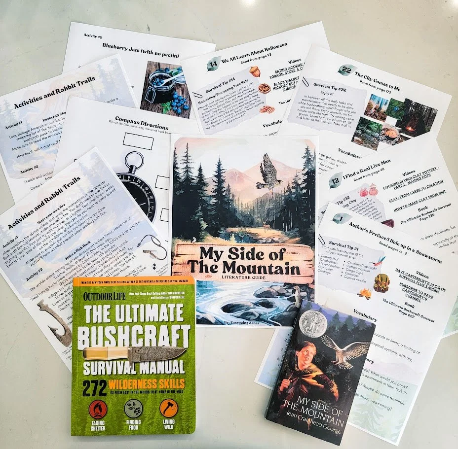 My Side of the Mountain Literature Guide
