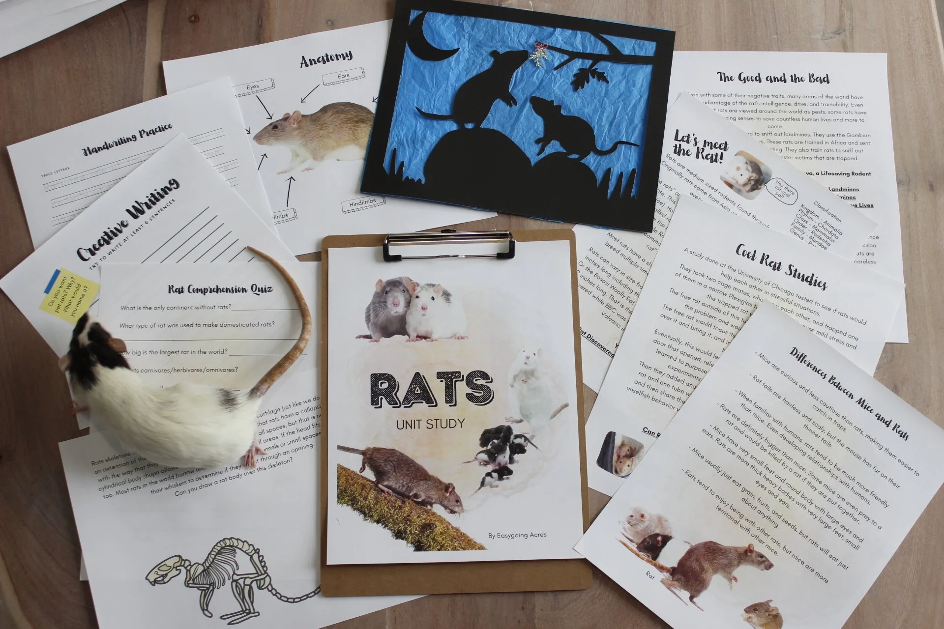 Rats Unit Study