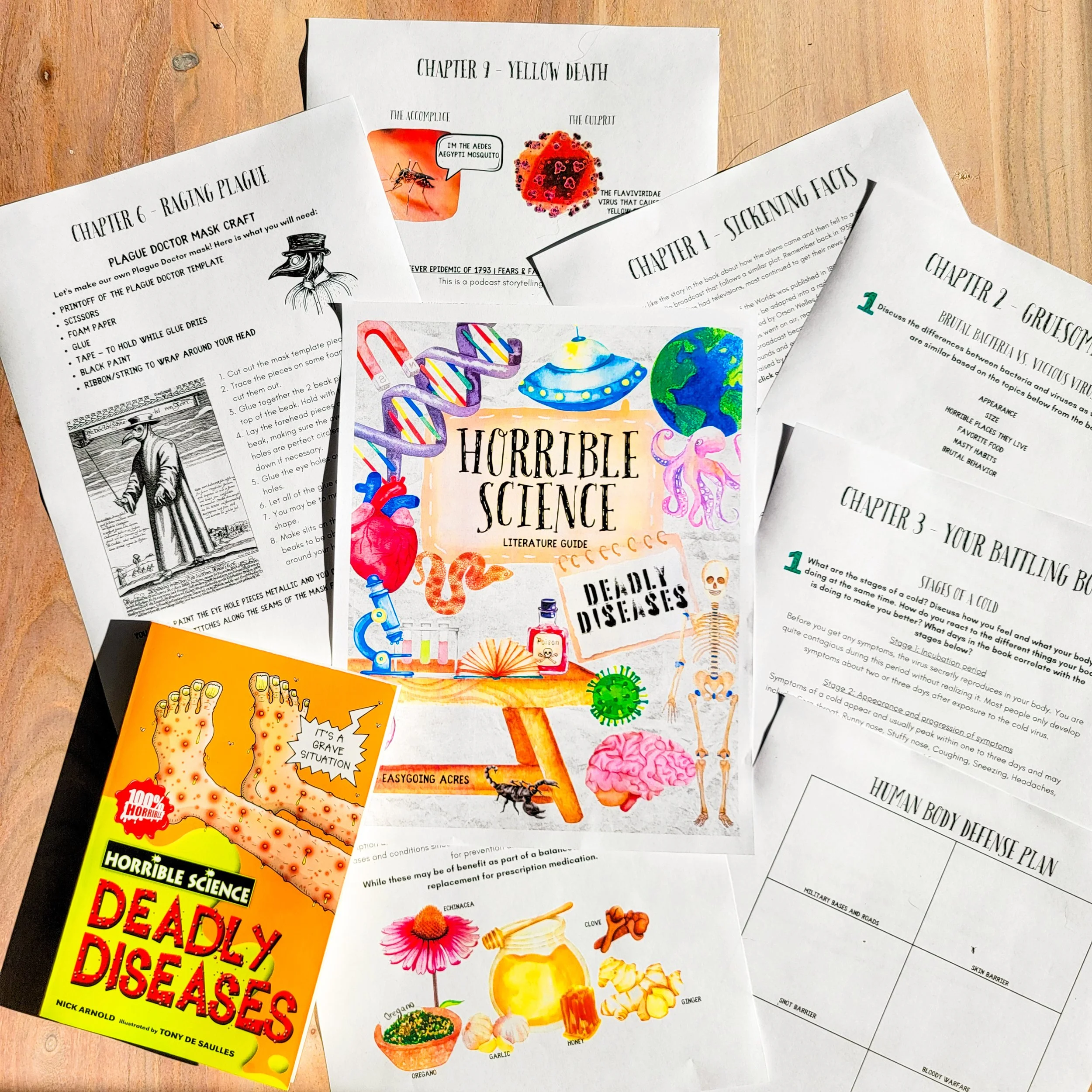 Horrible Science - Deadly Diseases Literature Guide
