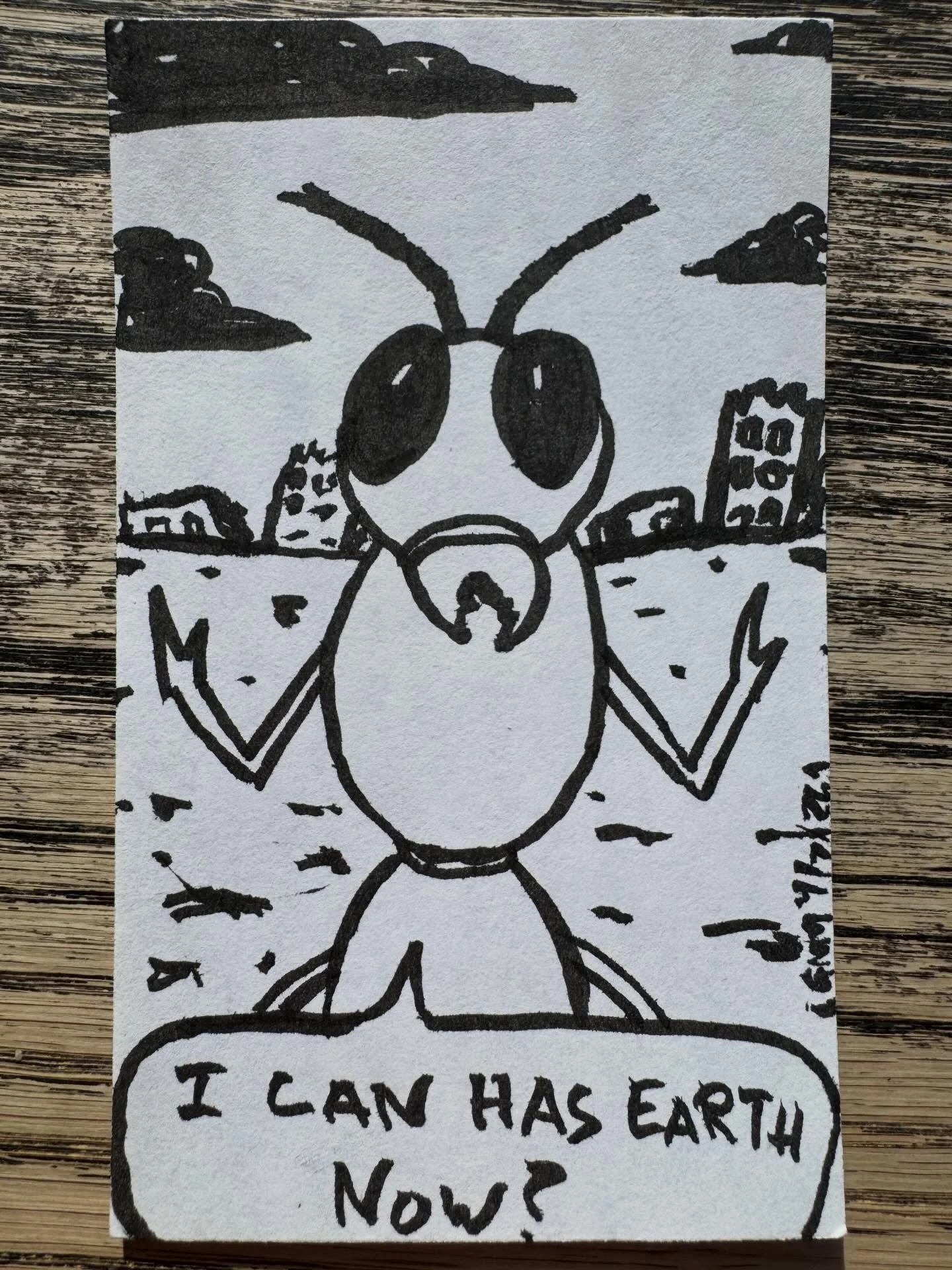 The ants&hellip; the ants&hellip;