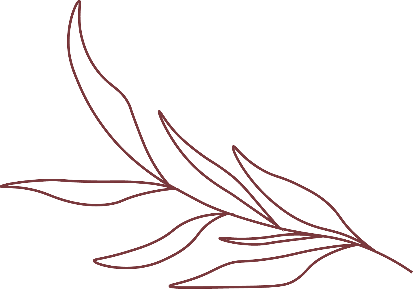 Line drawing of a branch with leaves, in dark red on a black background.