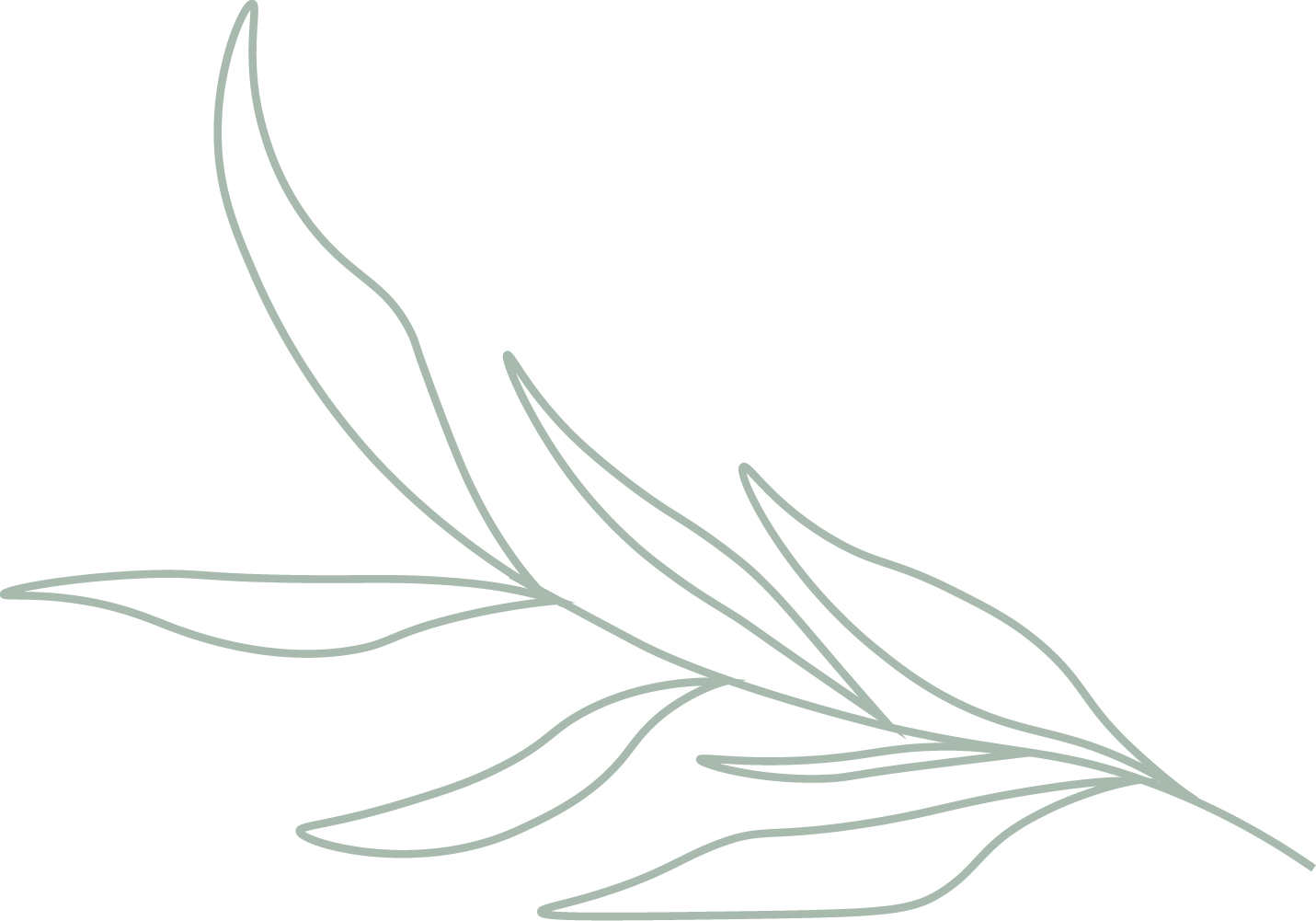 Outline drawing of a palm leaf with several elongated leaves branching from a single stem, minimalist style, gray lines on black background.
