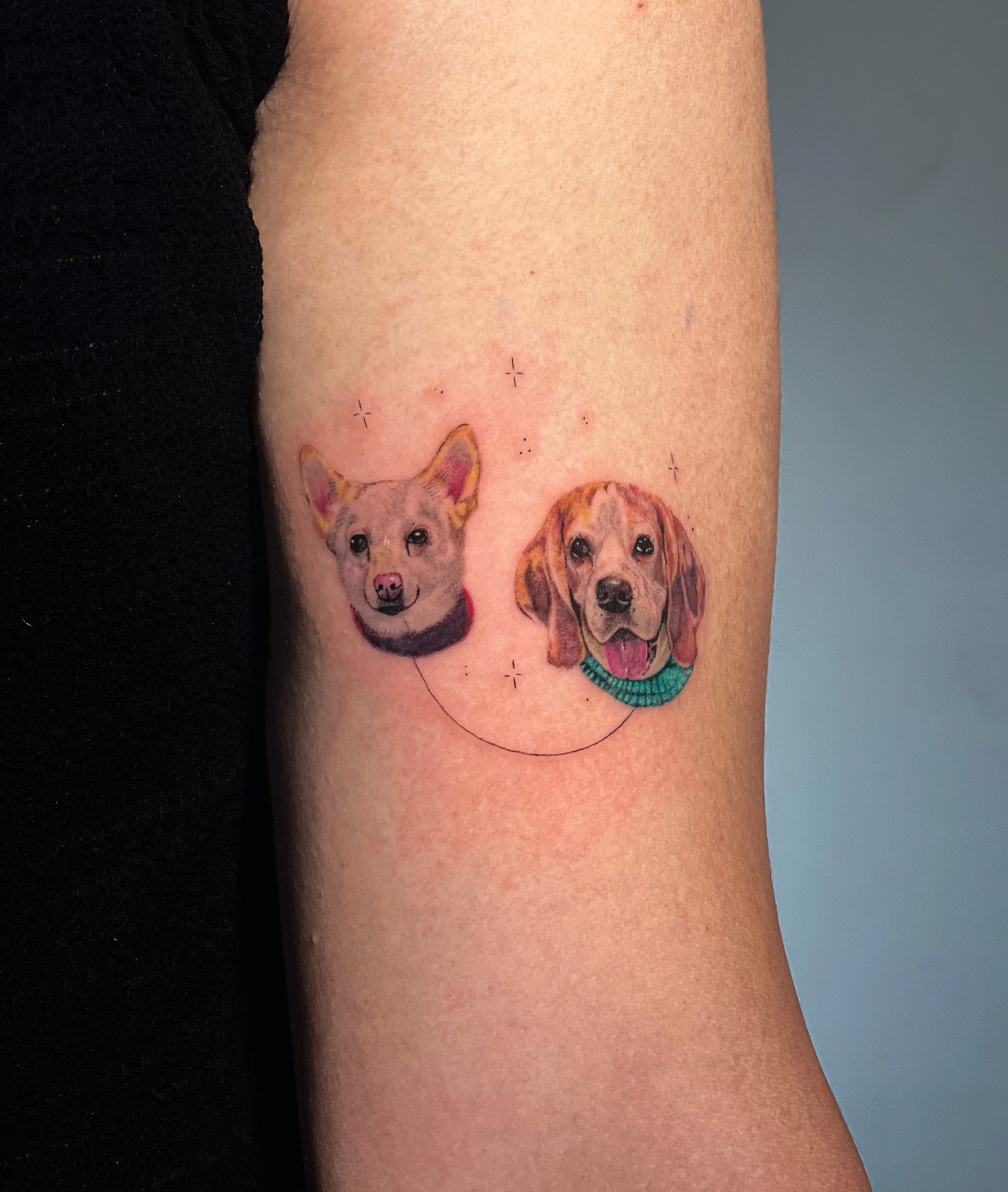 รอยสักน้องหมาขนาดเล็กสไตล์มินิมอลจาก Let’s Tatt Studio / Minimal tiny pet tattoo by Let’s Tatt Studio Chiang Mai