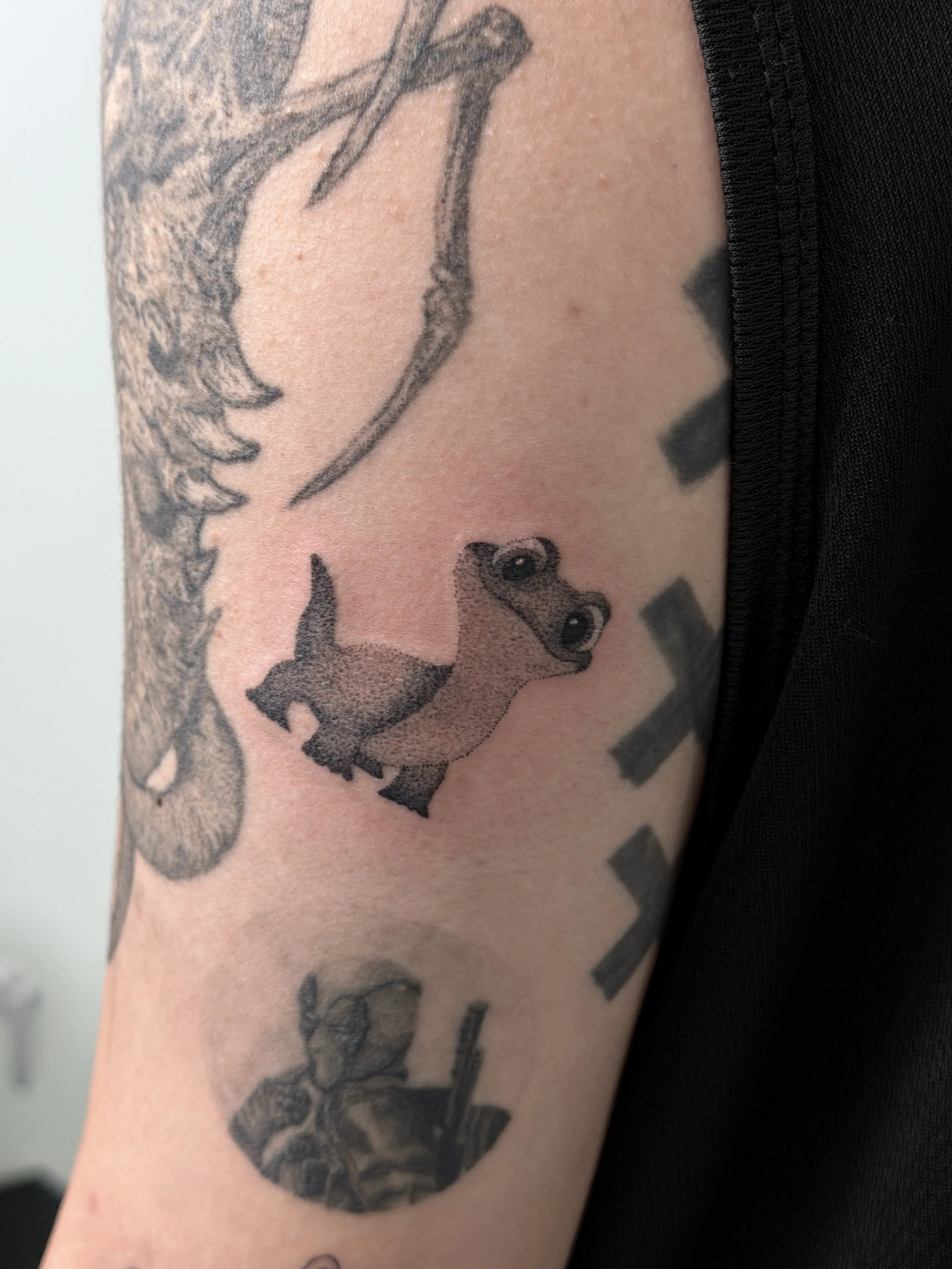 รอยสักสัตว์เลี้ยงสไตล์ Minimal Cartoon / Minimal cartoon pet tattoo by Let’s Tatt Studio Chiang Mai