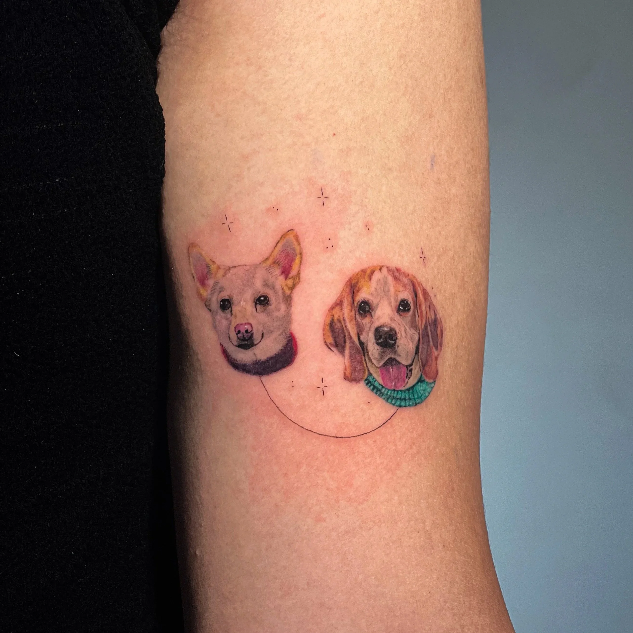 รอยสักสัตว์เลี้ยงขนาดเล็กจาก Let’s Tatt Studio / Tiny pet tattoo by Let’s Tatt Studio Chiang Mai
