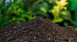 Special Blend Soil. 50/50 Blend Mixture Topsoil And Compost (Per Yard)