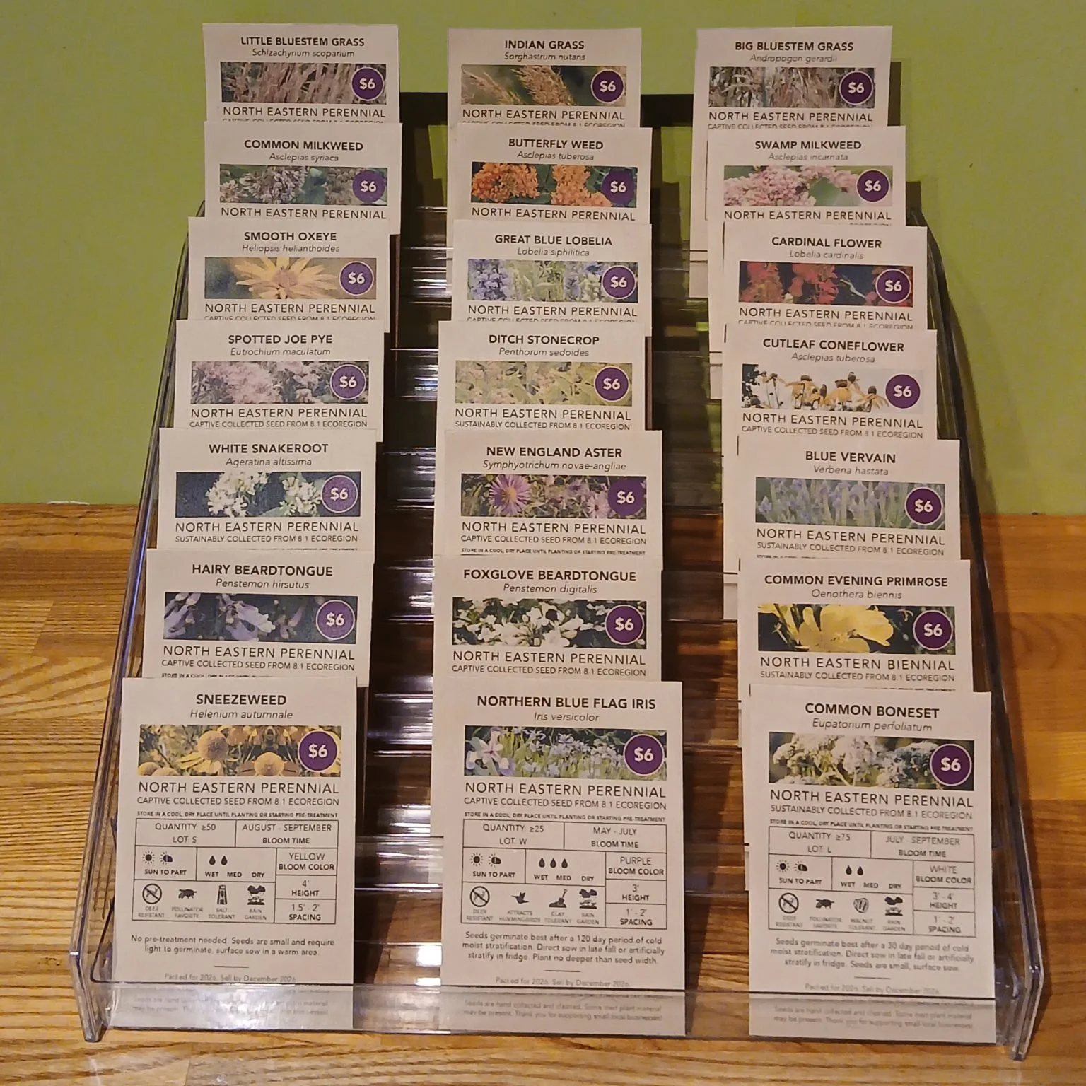Display-1536x1536.jpg